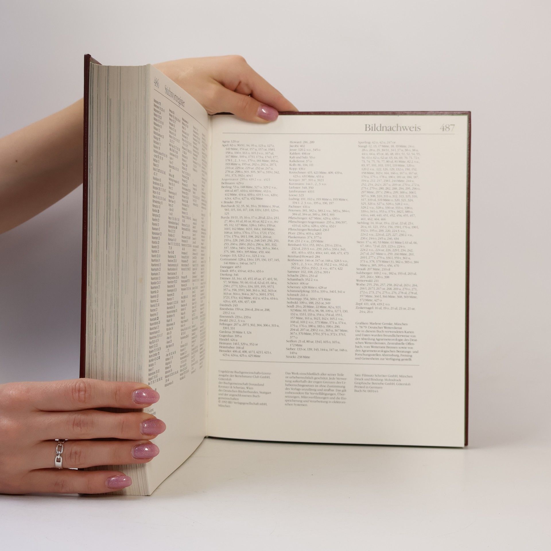 Autorenkollektiv Handbuch Garten: Das große Nachschlagewerk für alle Fragen der Gartenpraxis