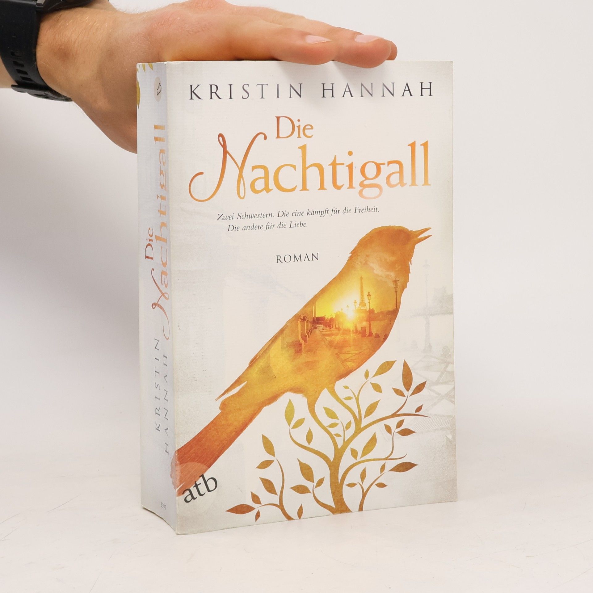 Kristin Hannah Die Nachtigall