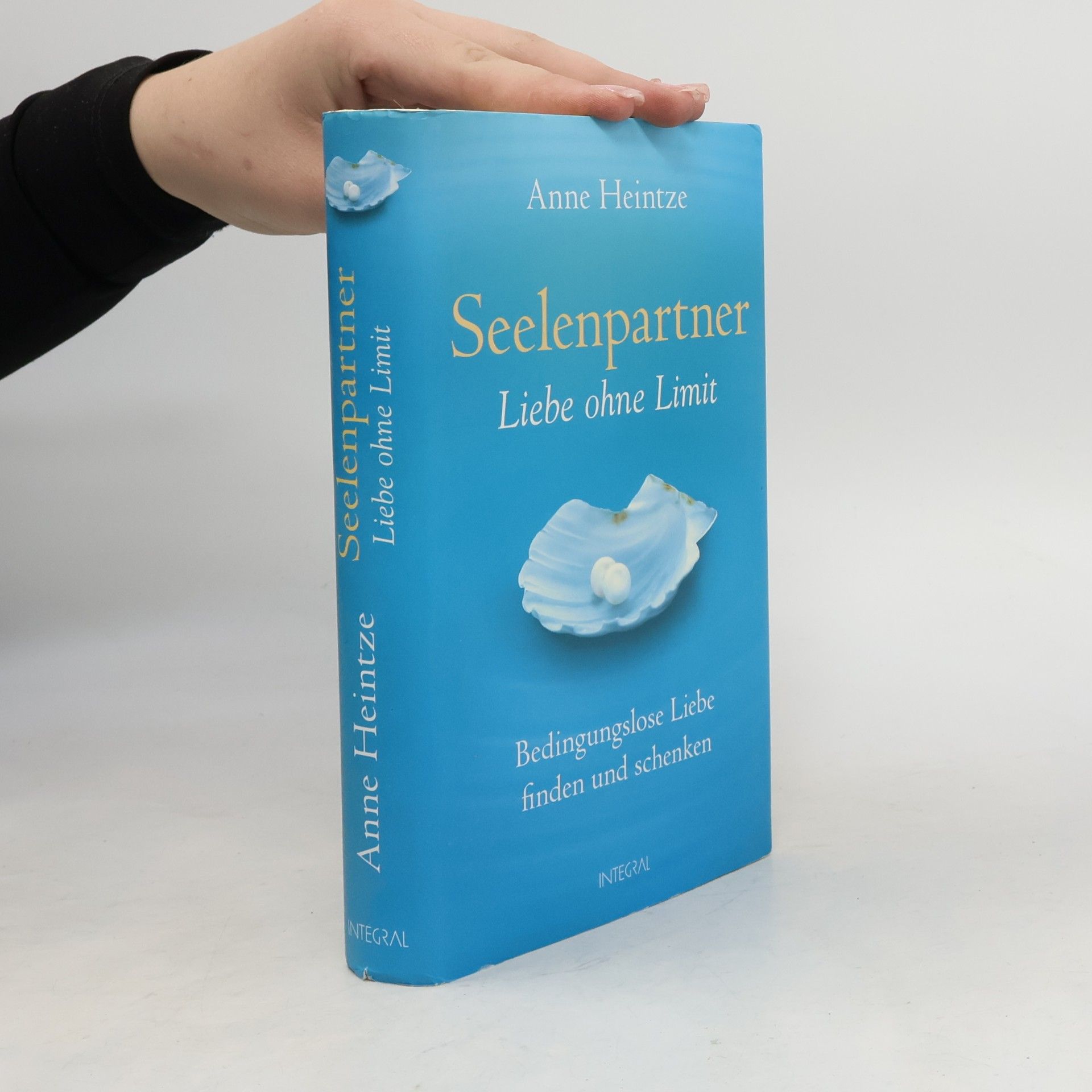 Anne Heintze Seelenpartner - Liebe ohne Limit
