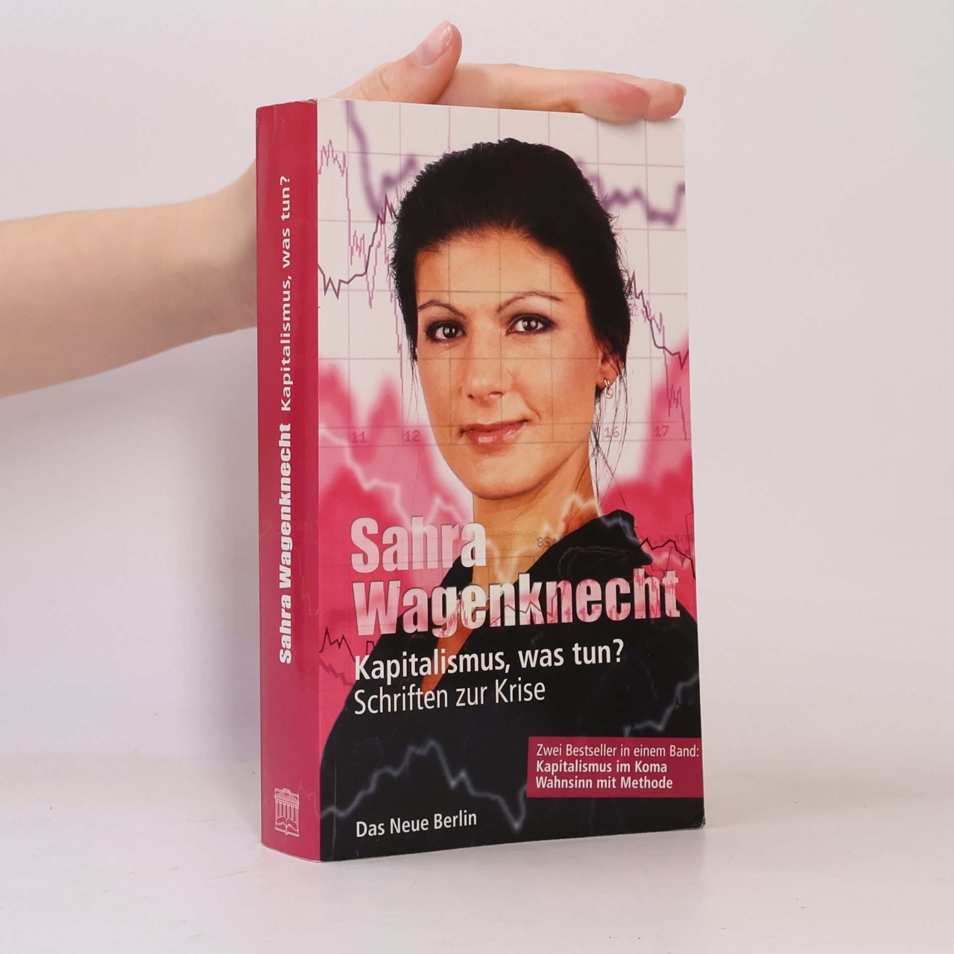 Kapitalismus, was tun?