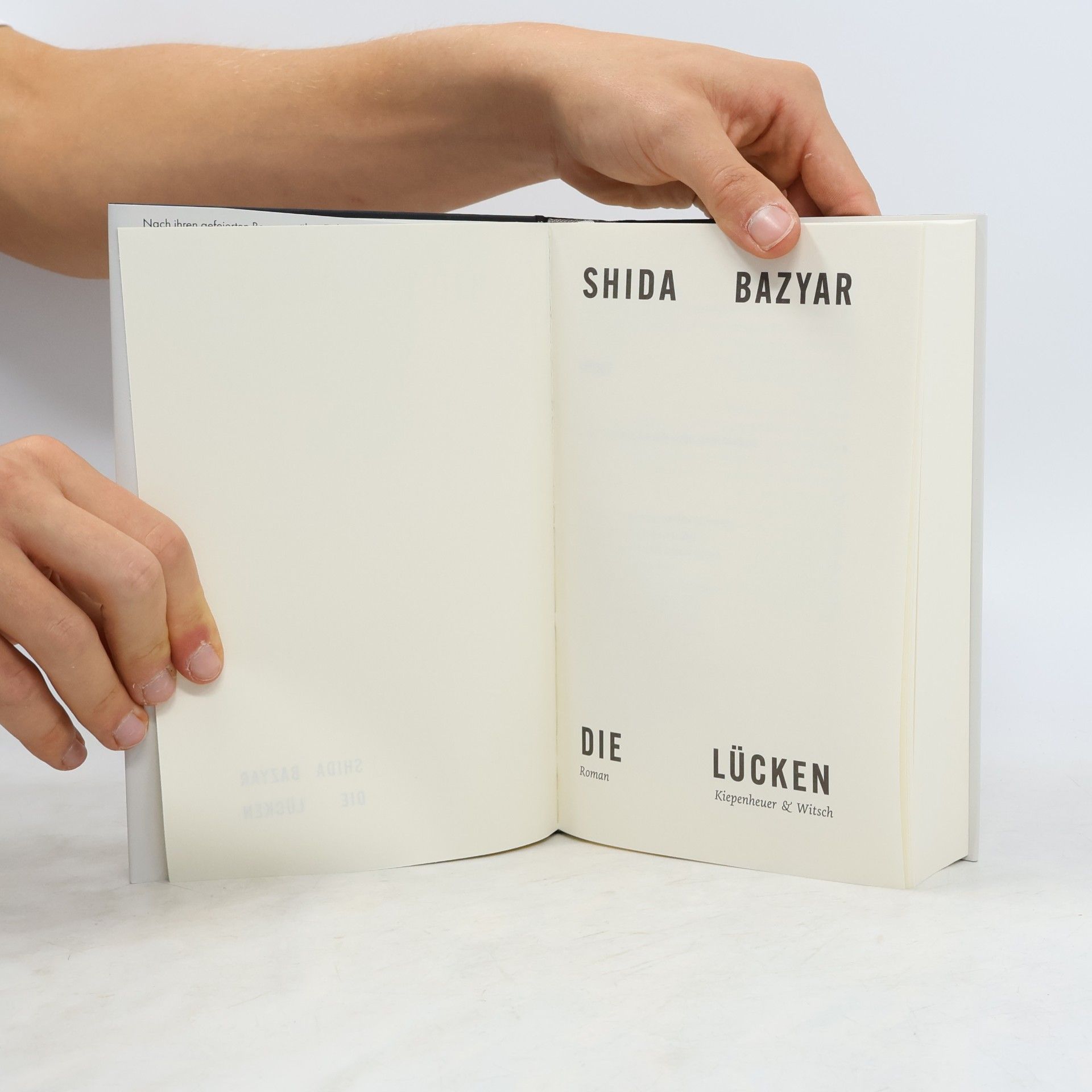 Shida Bazyar Die Lücken