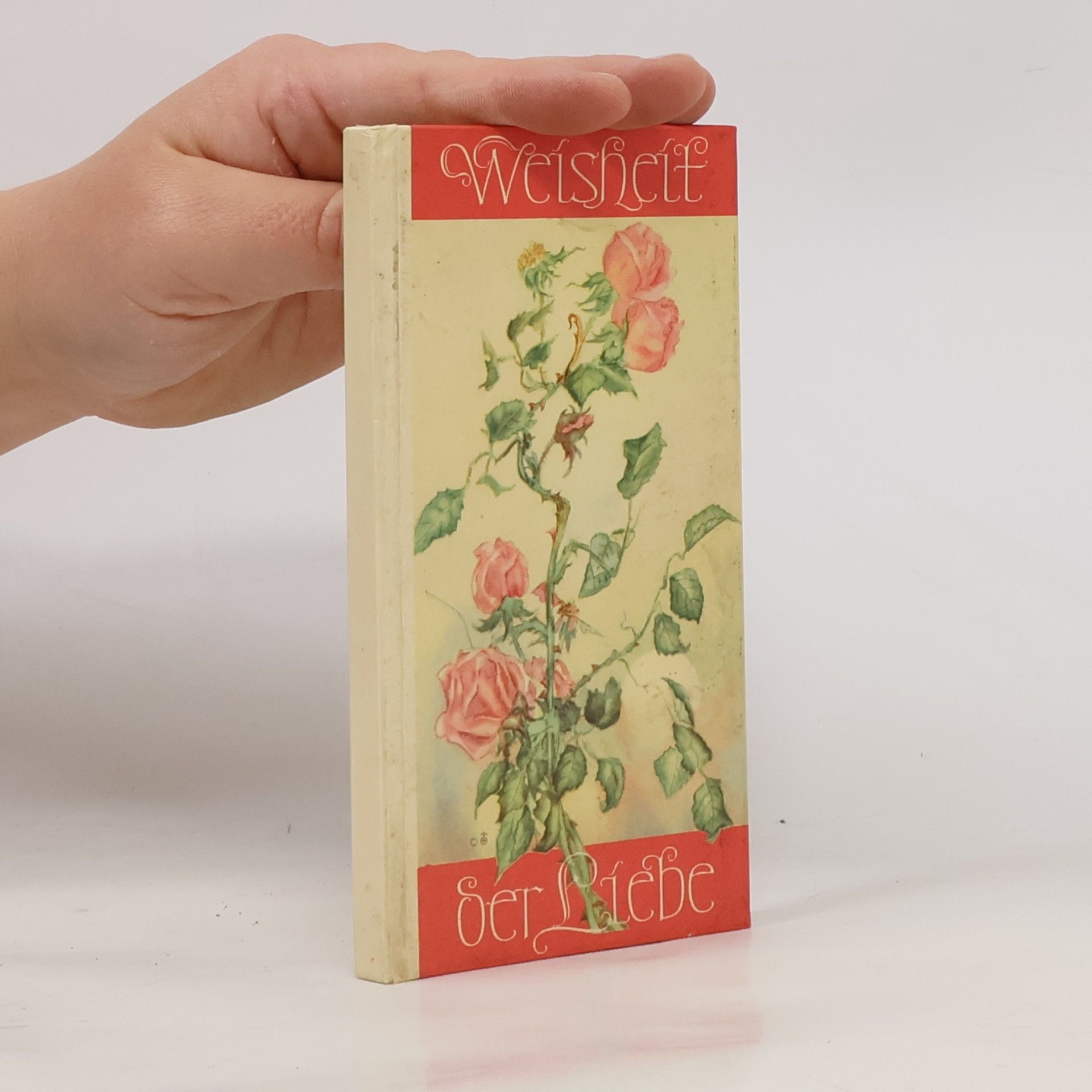 kolektiv Weisheit der Liebe