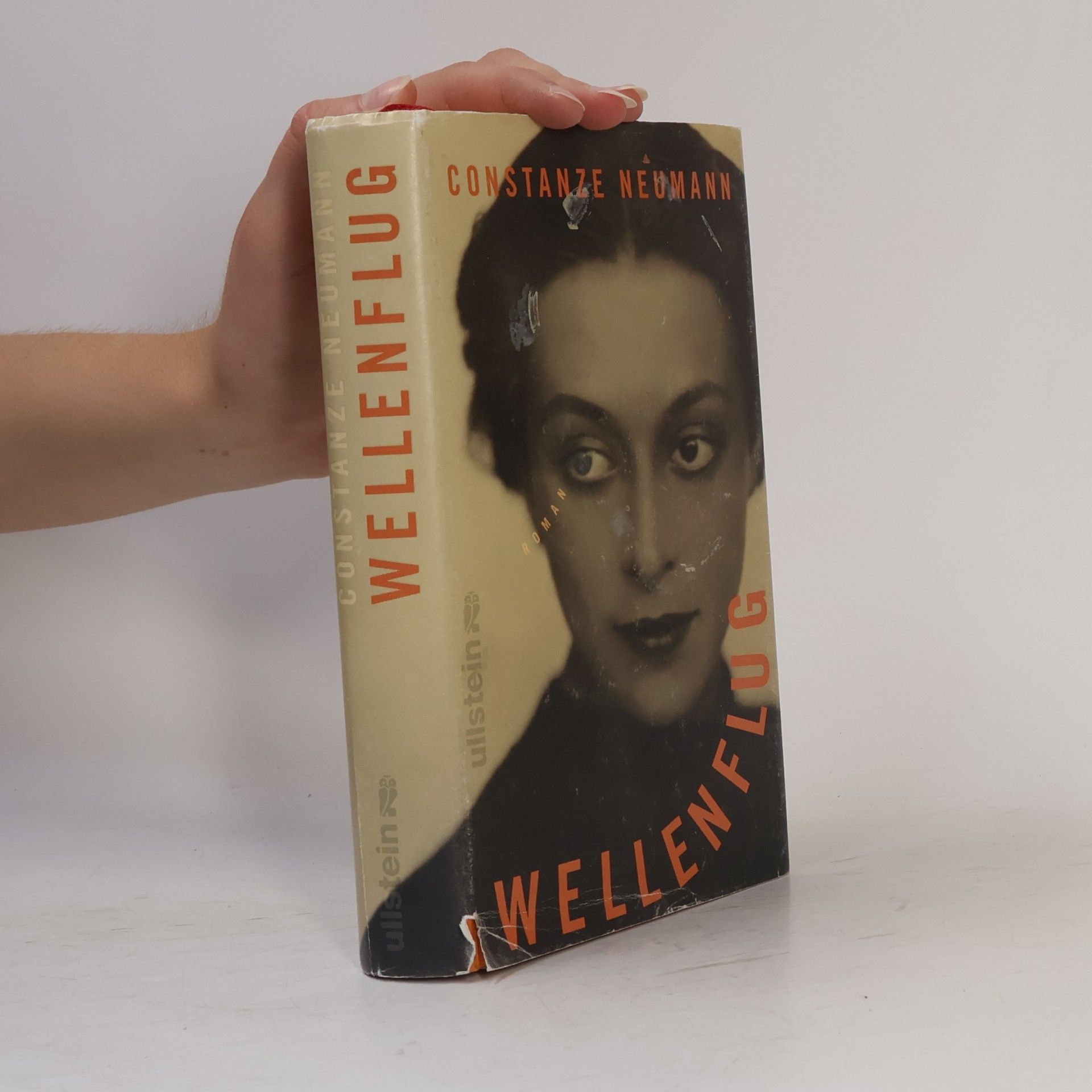 Constanze Neumann Wellenflug