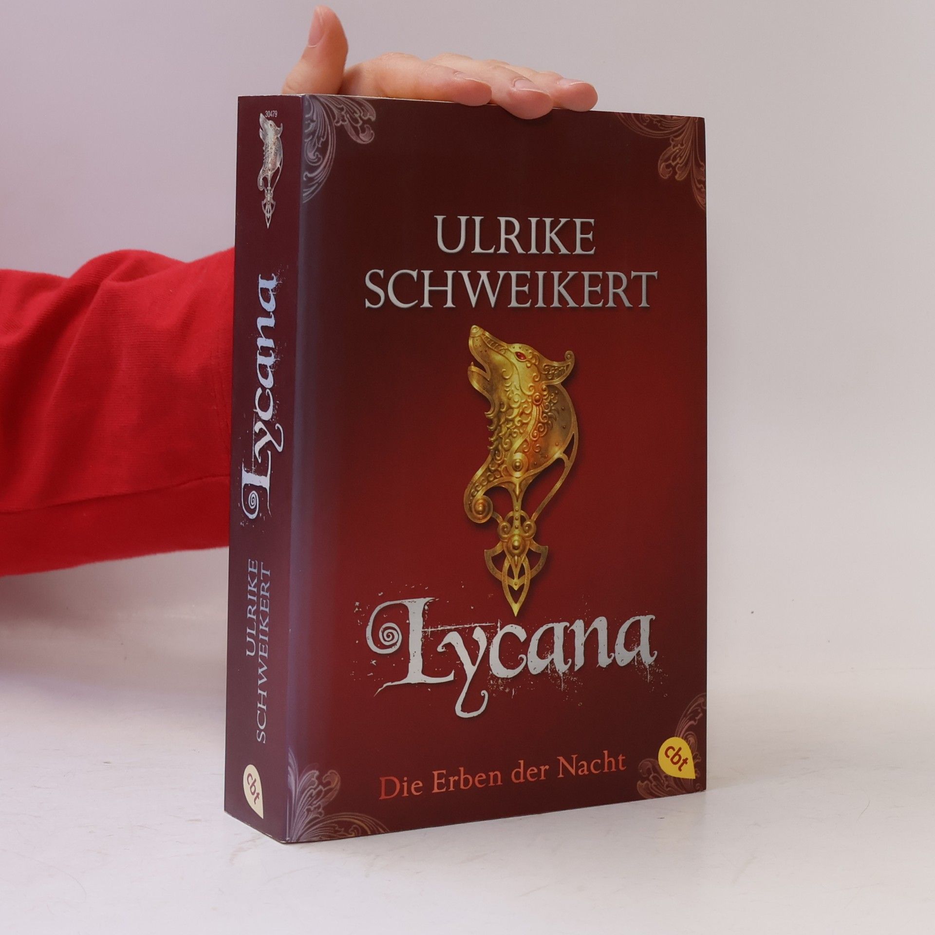 Ulrike Schweikert Die Erben der Nacht