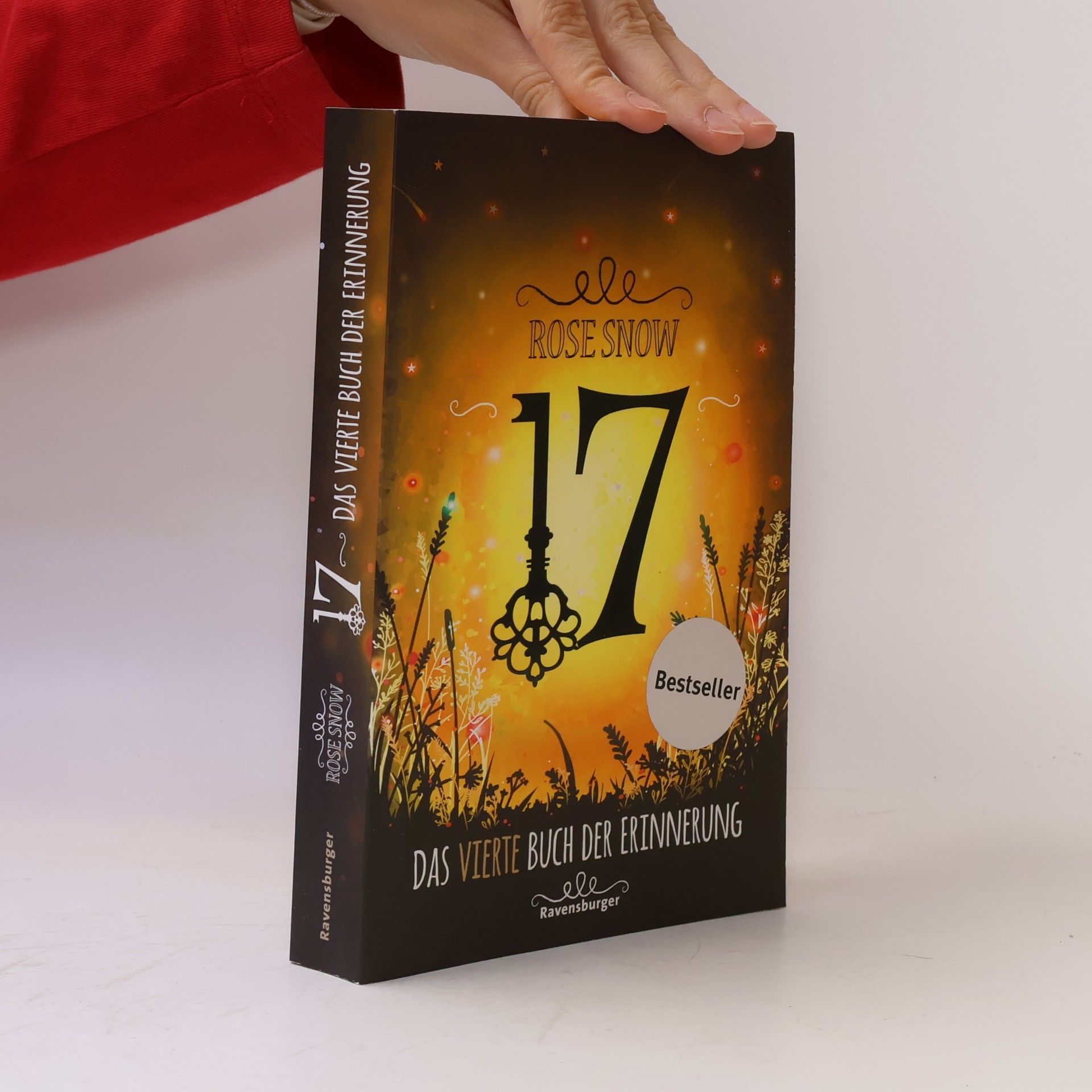 Snow Rose 17: Das vierte Buch der Erinnerung