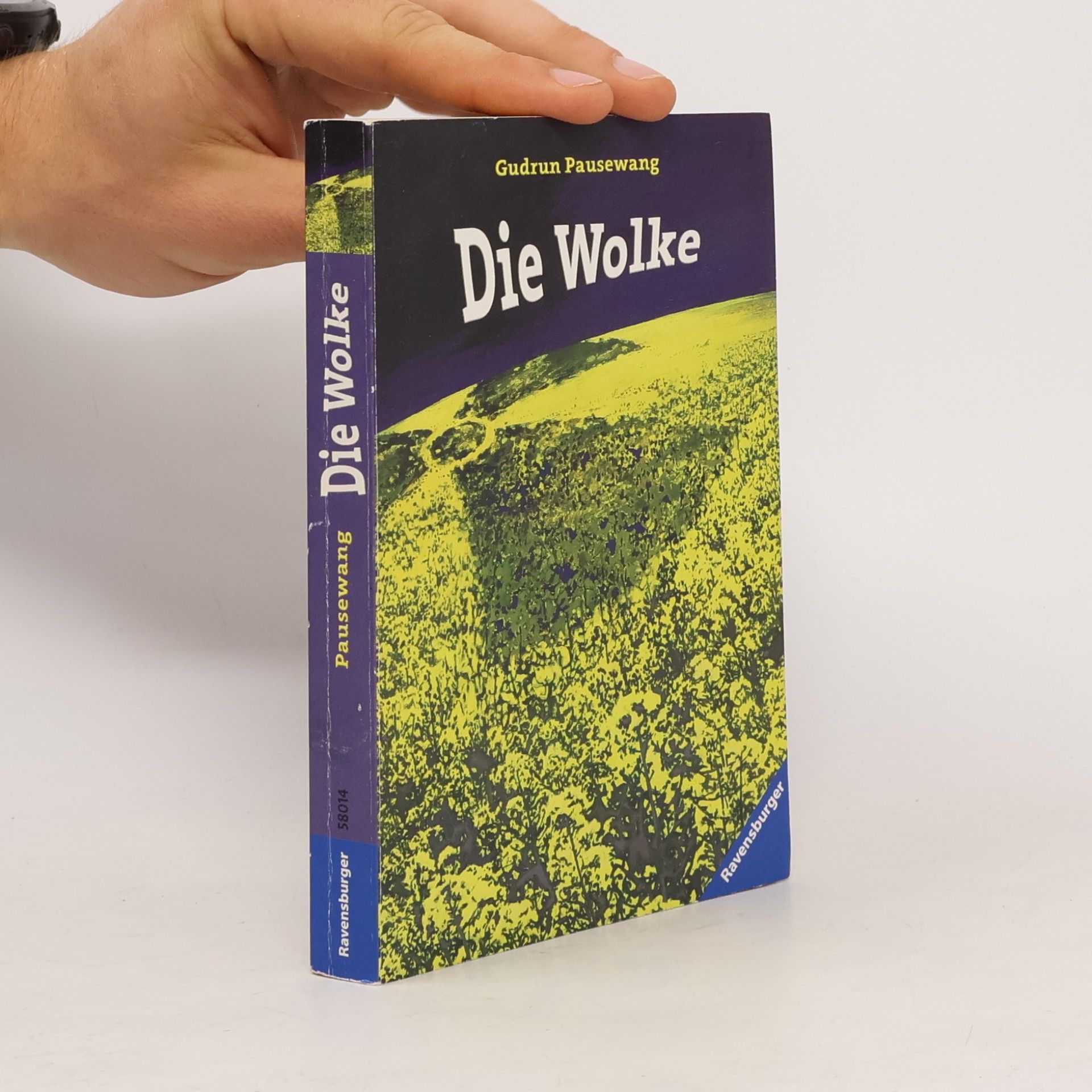 Die Wolke
