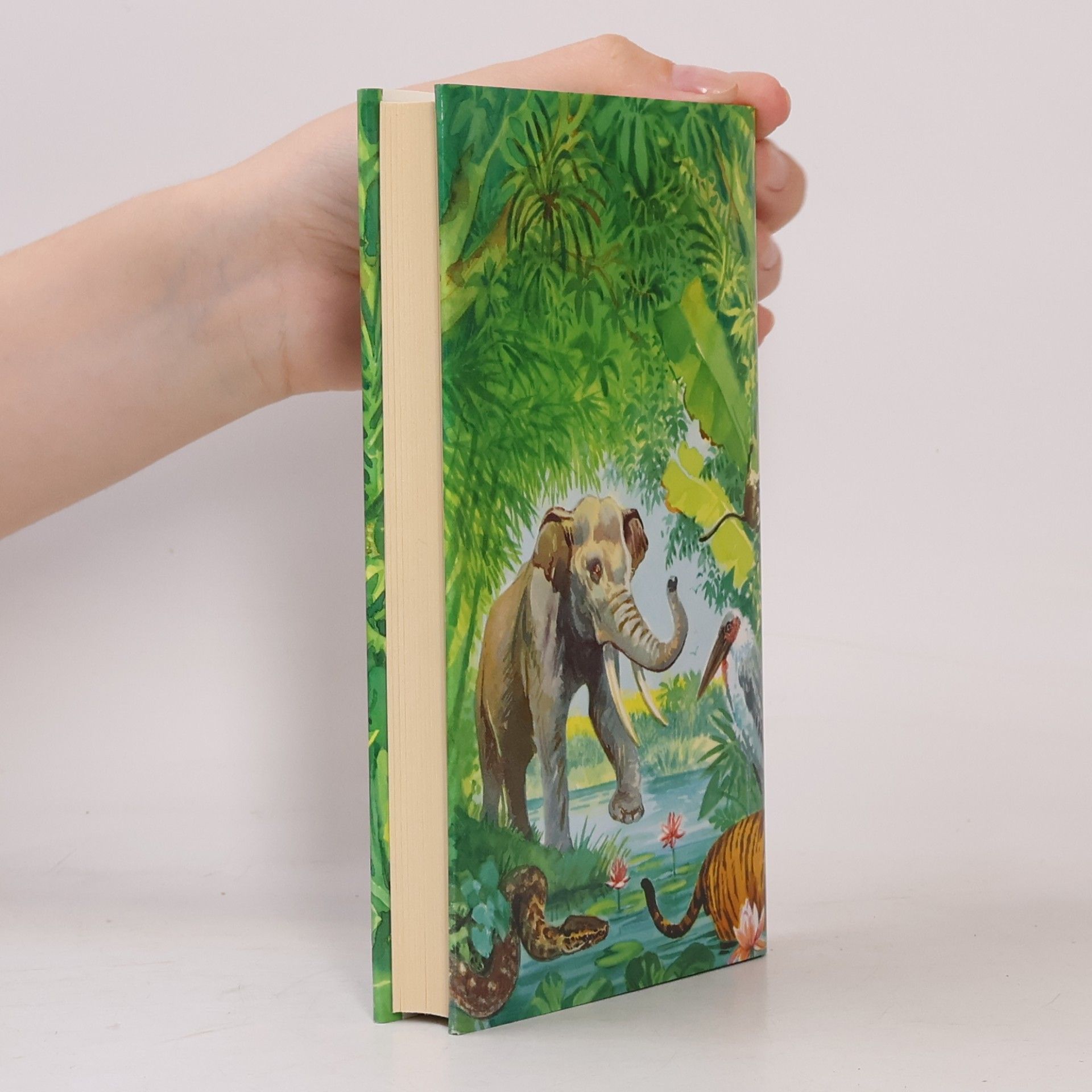 Rudyard Kipling Das Dschungelbuch und andere Geschichten aus Indien