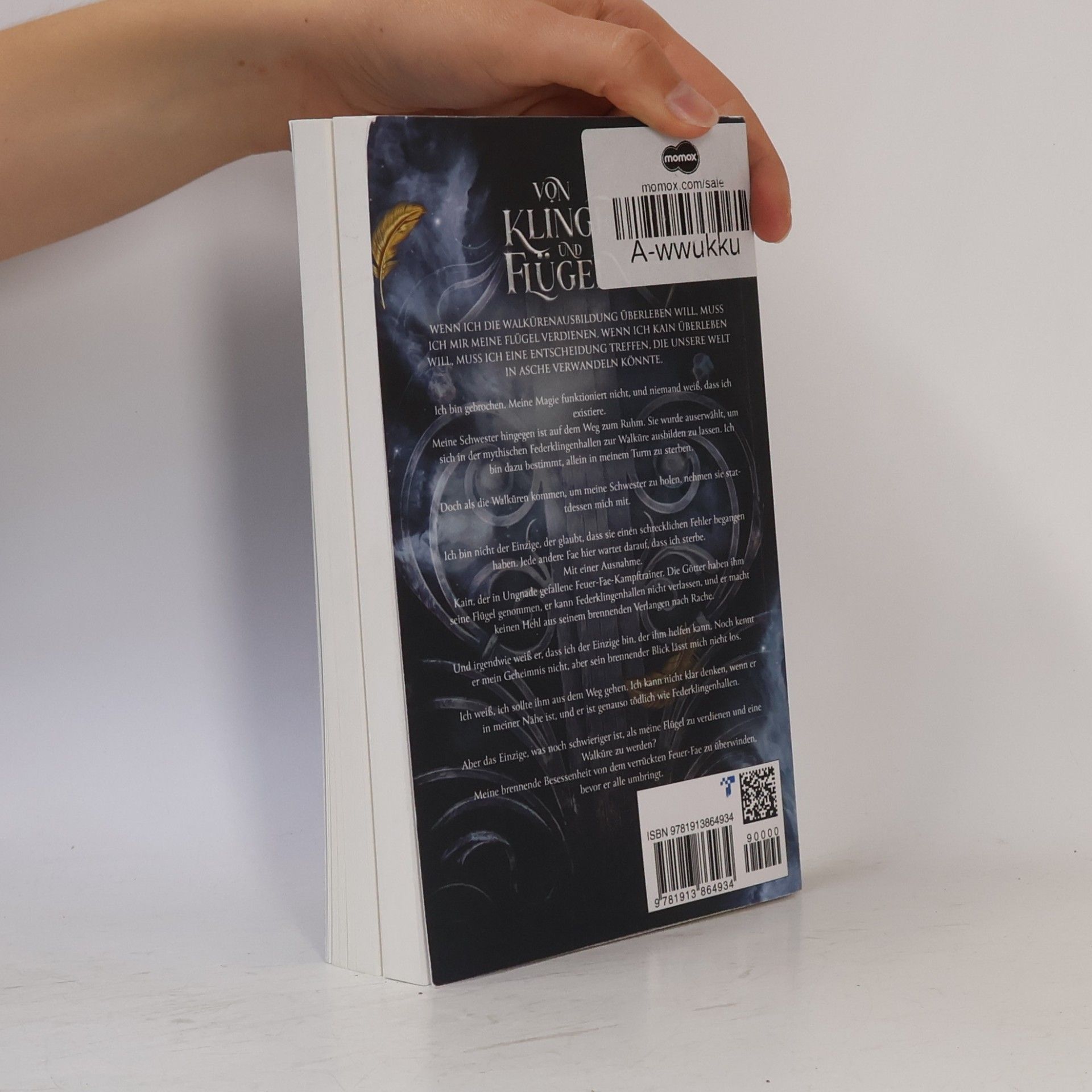 Eliza Raine Von Klingen und Flügeln: Walküren-Akademie fantasy liebesromane