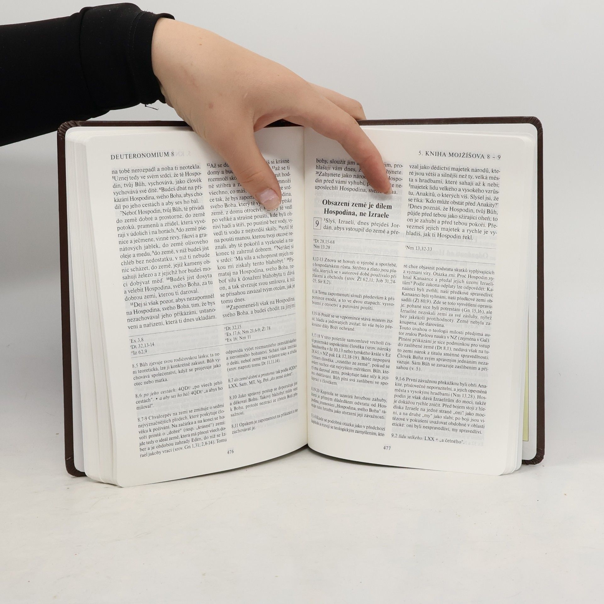 Václav Bogner Pentateuch (Pět knih Mojžíšových)