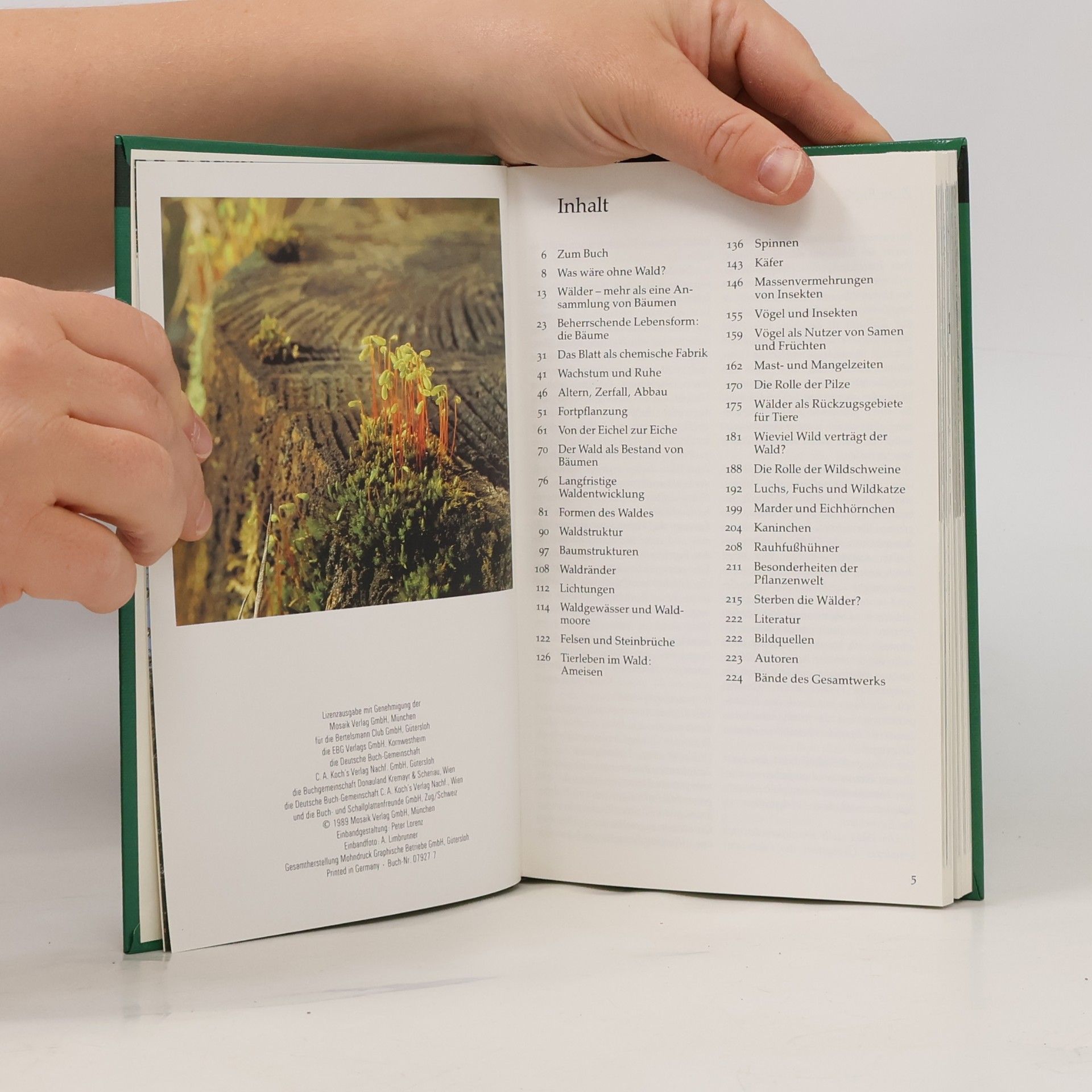 Collectif d'auteurs Wald