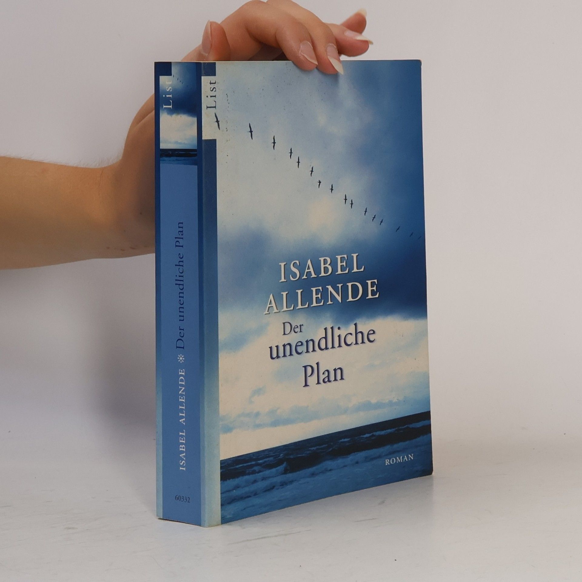 Isabel Allende Der unendliche Plan