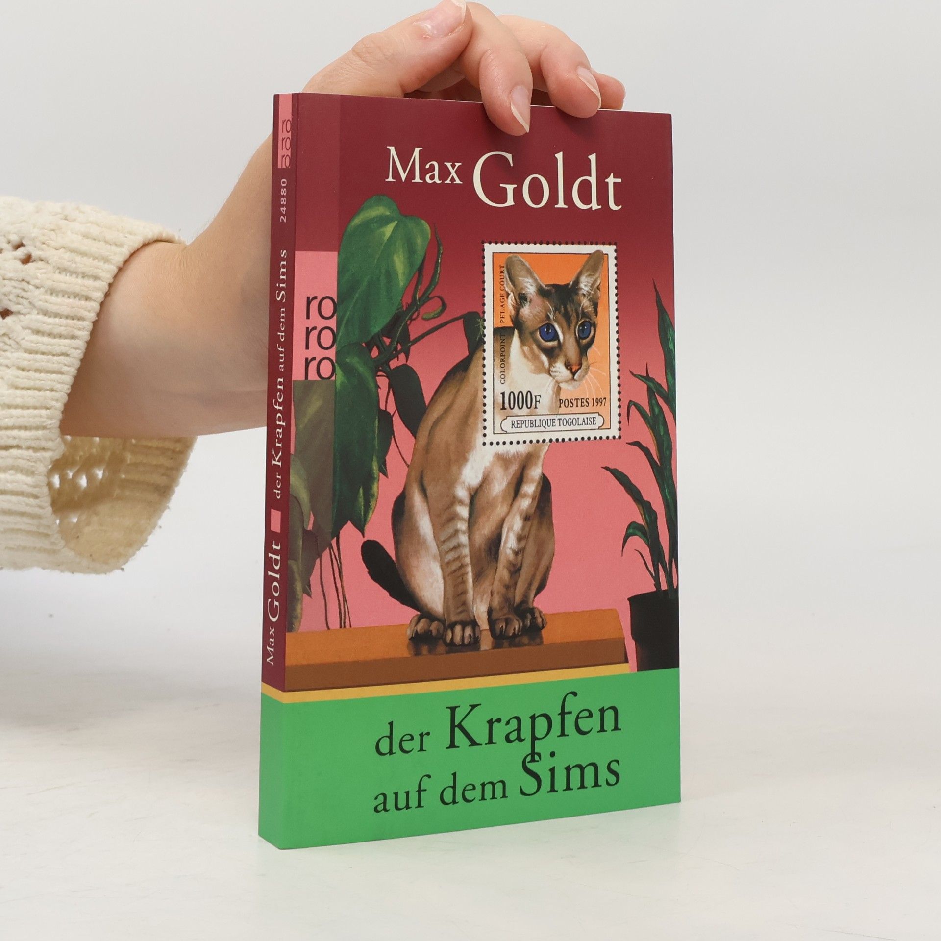 Max Goldt Der Krapfen auf dem Sims