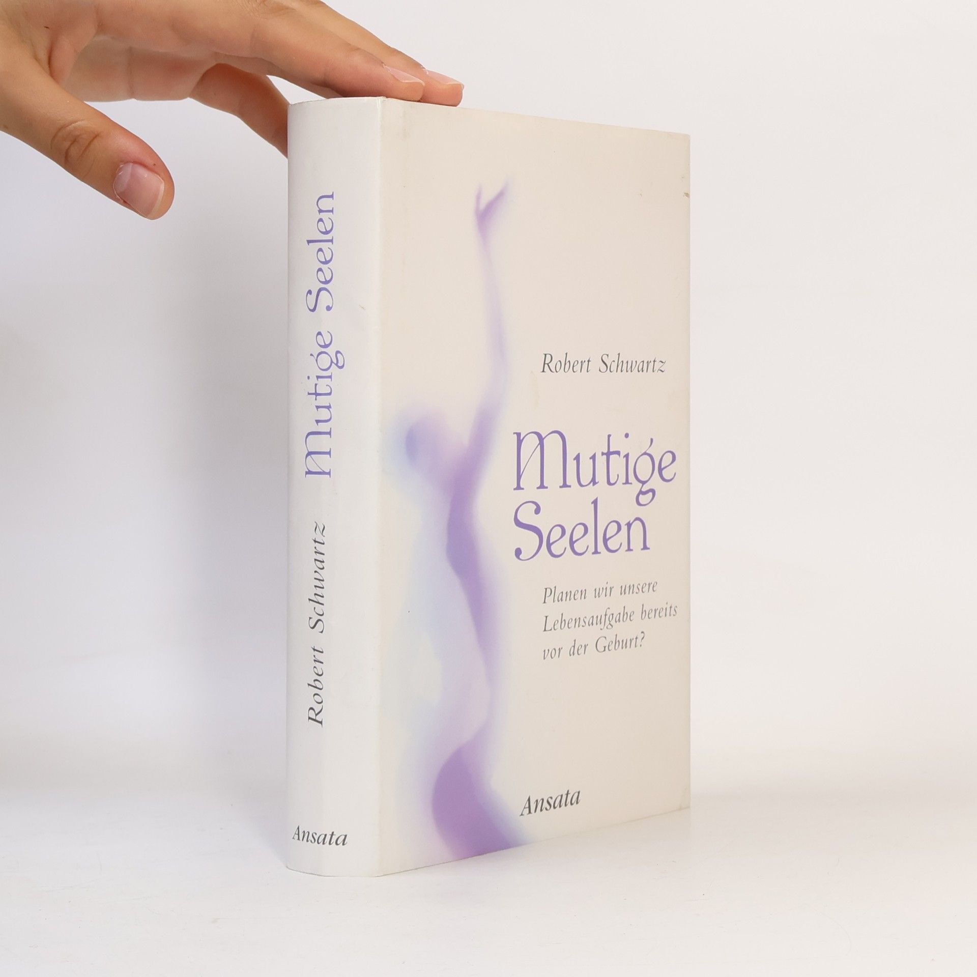 Robert Schwartz Mutige Seelen