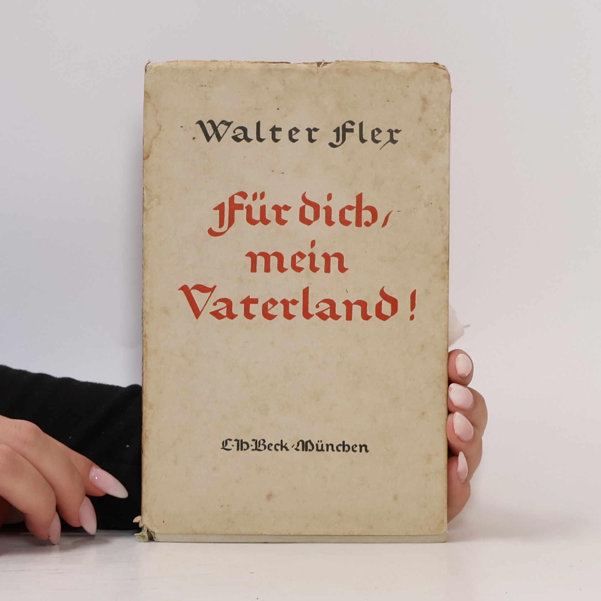 Walter Flex Für dich, mein Vaterland!