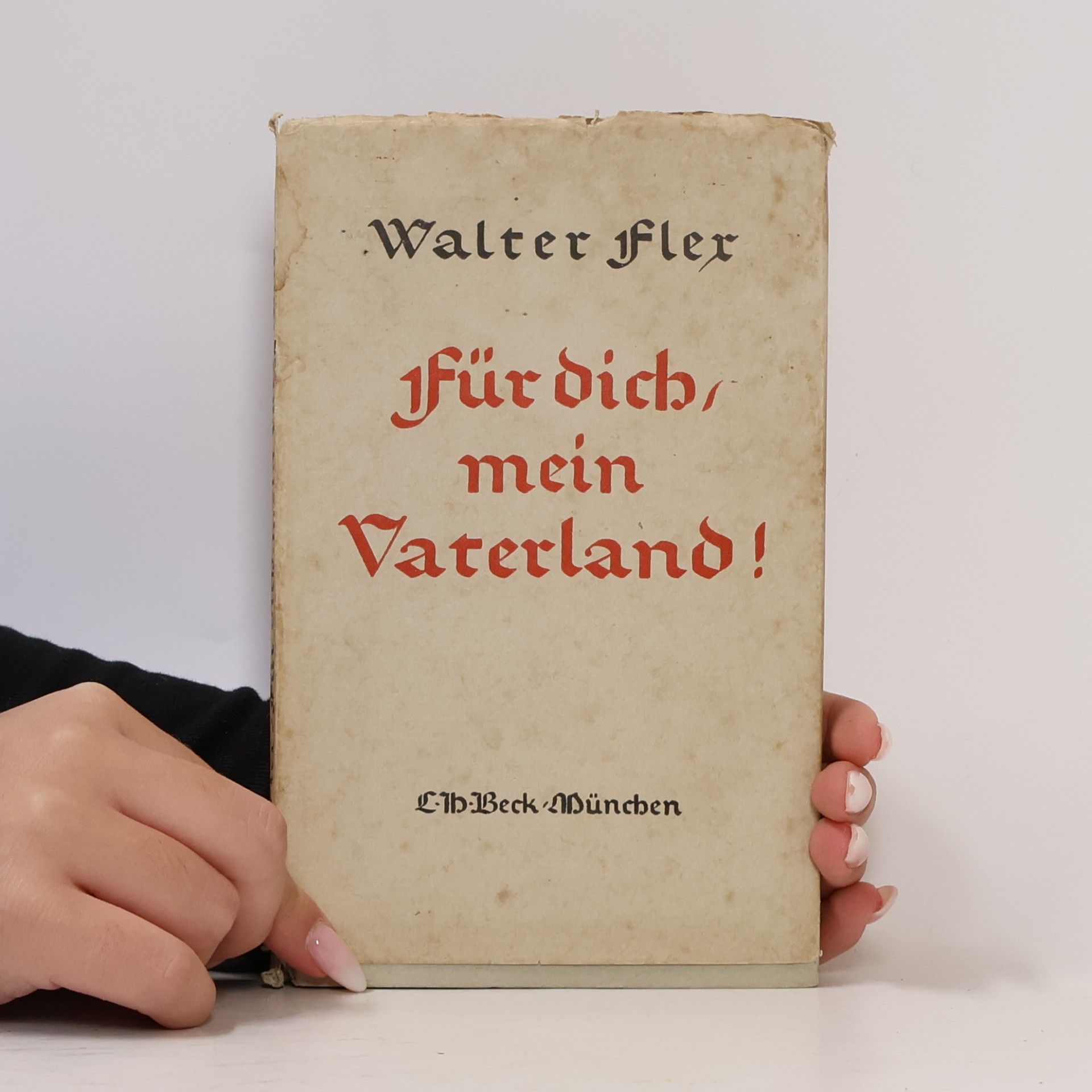 Walter Flex Für dich, mein Vaterland!