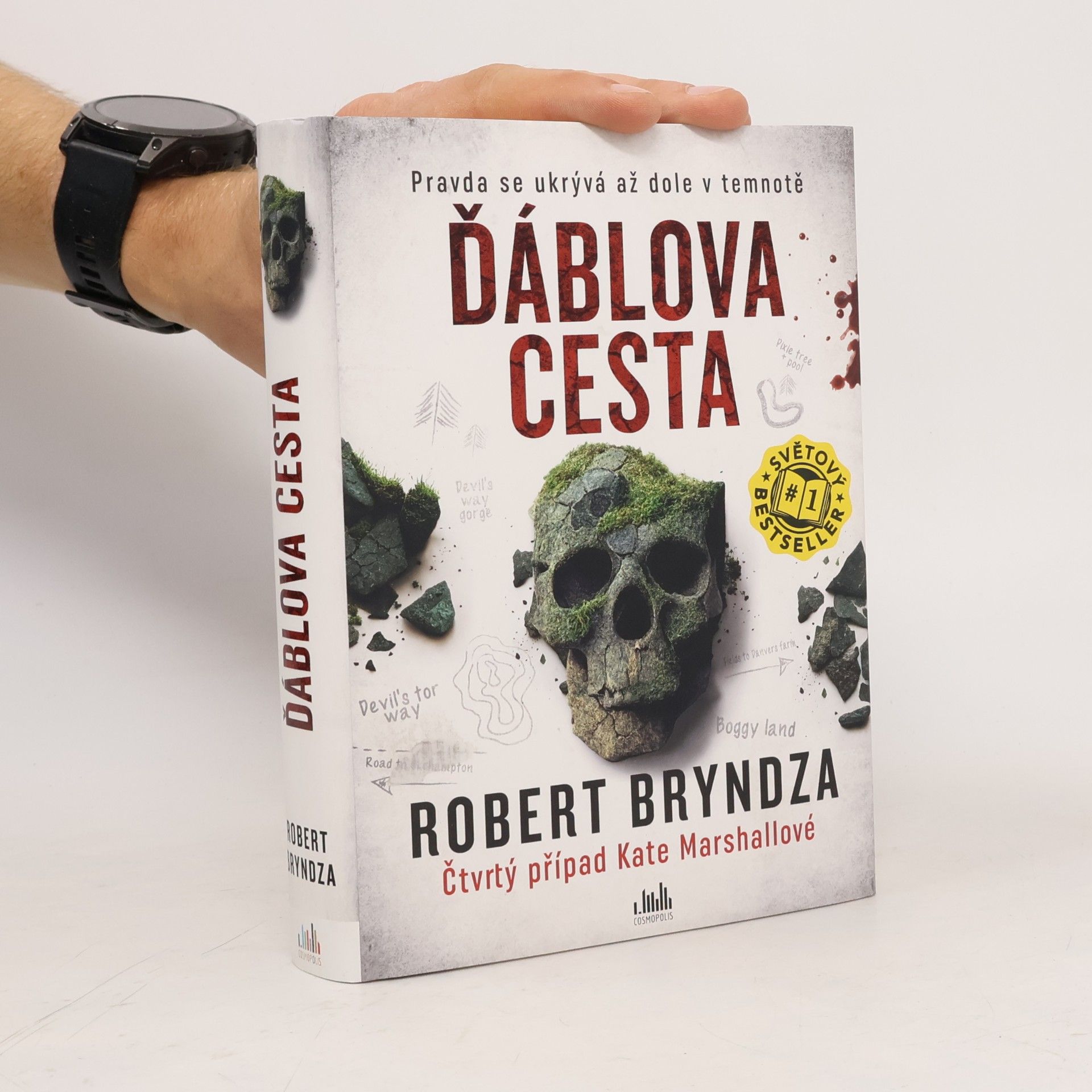 Robert Bryndza Ďáblova cesta
