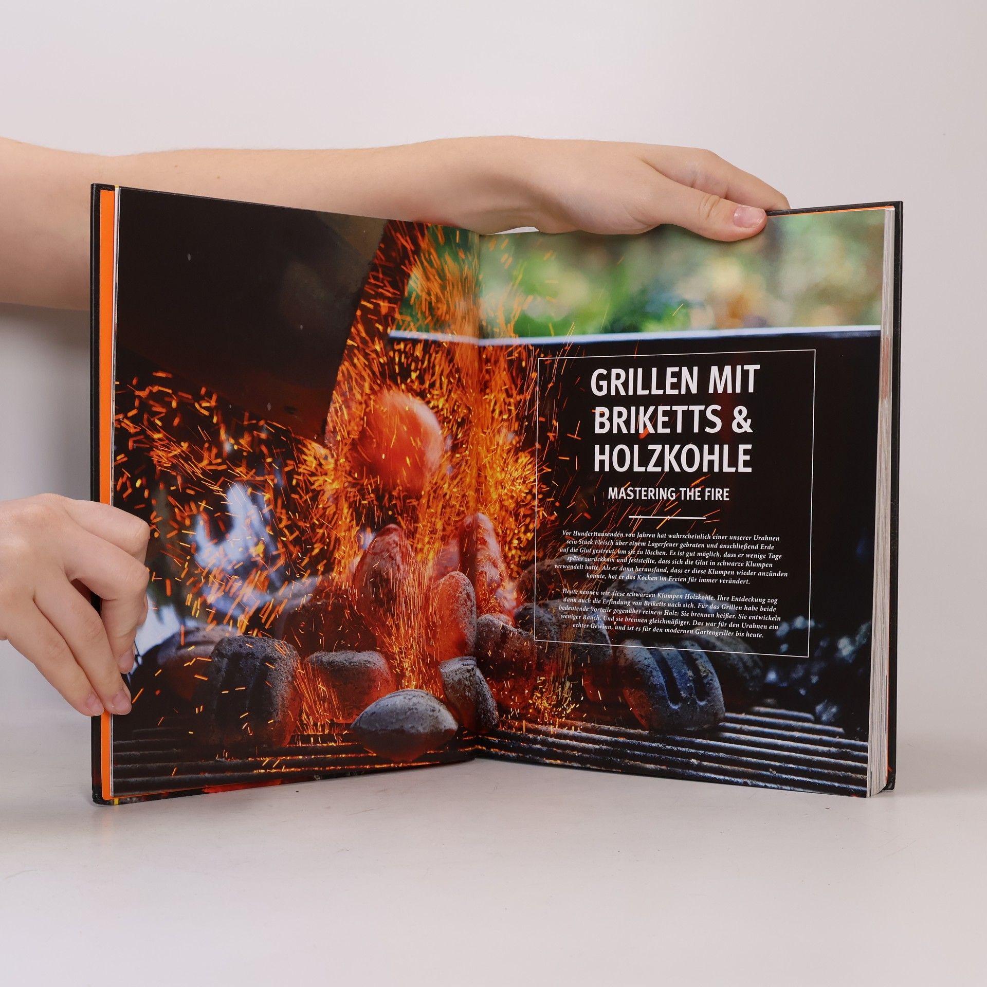 Jamie Purviance Weber's Grillen mit Briketts & Holzkohle