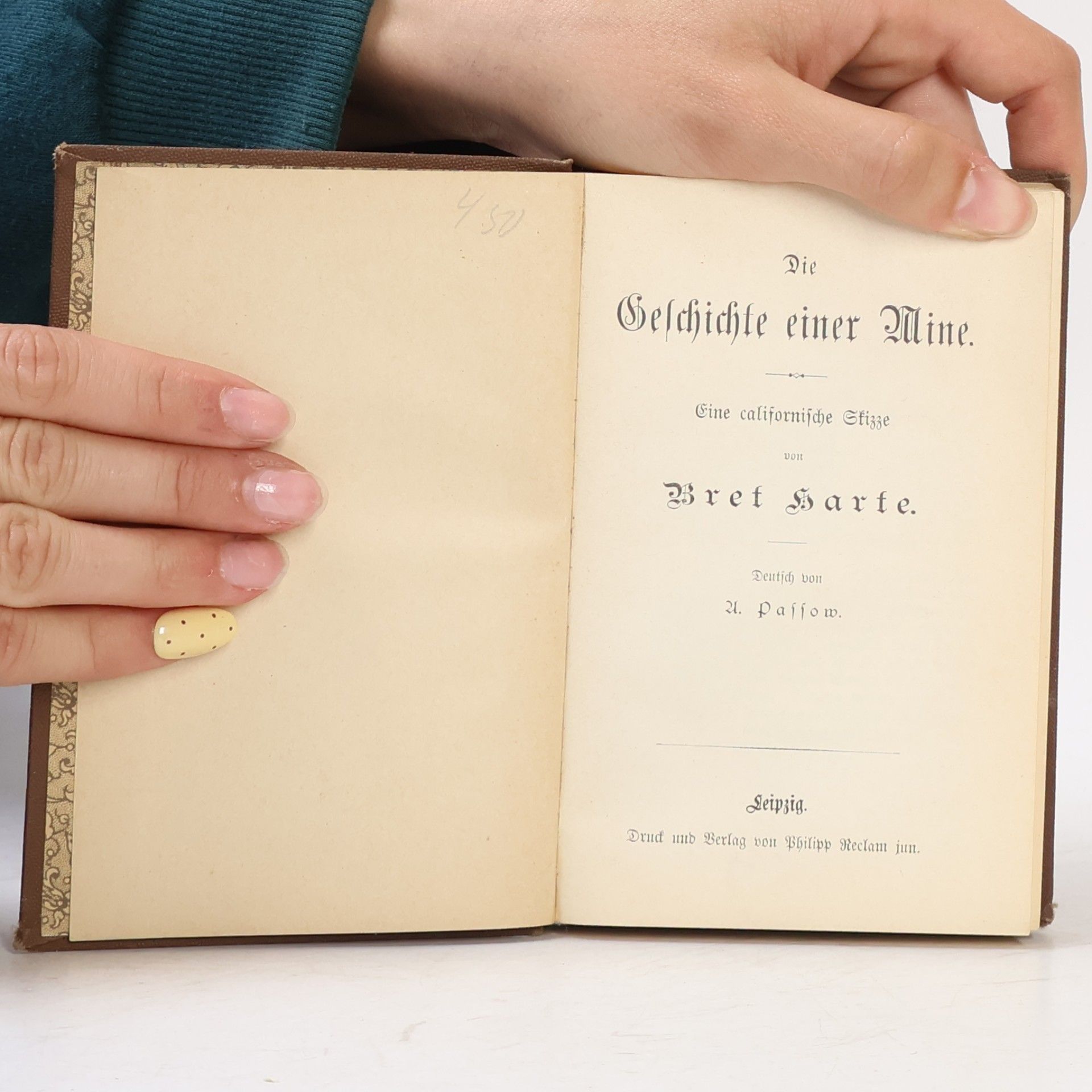 Bret Harte Die Geschichte einer Mine