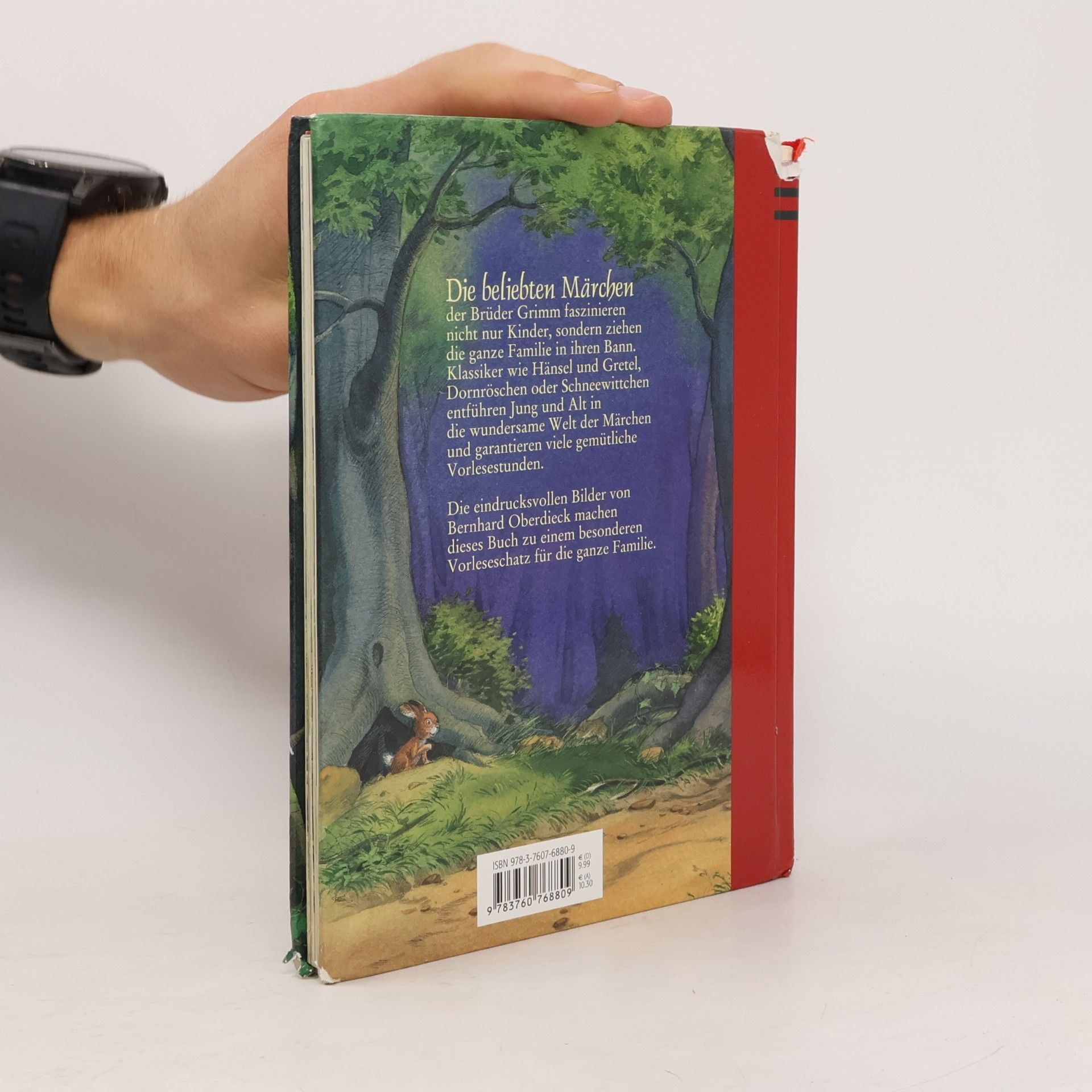 Bernhard Oberdieck Die schönsten Märchen der Brüder Grimm