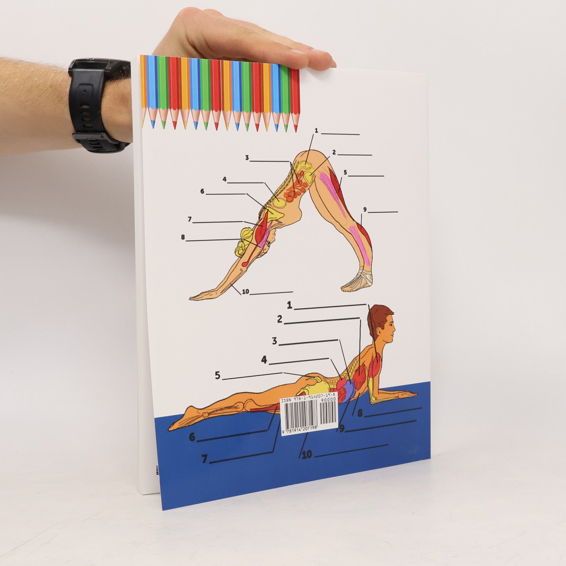 Anatomy Academy Yoga Anatomie Malbuch für Anfänger