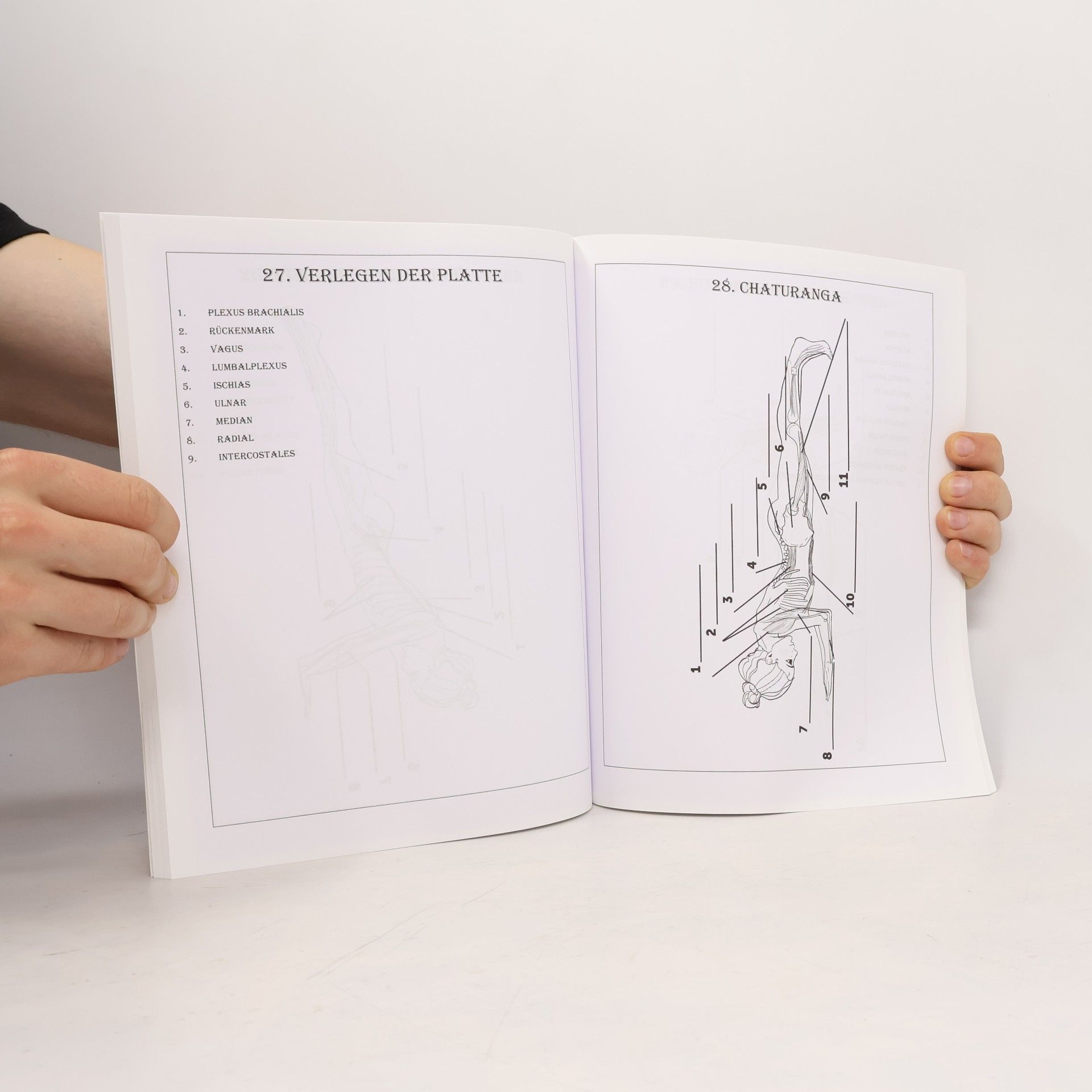 Anatomy Academy Yoga Anatomie Malbuch für Anfänger