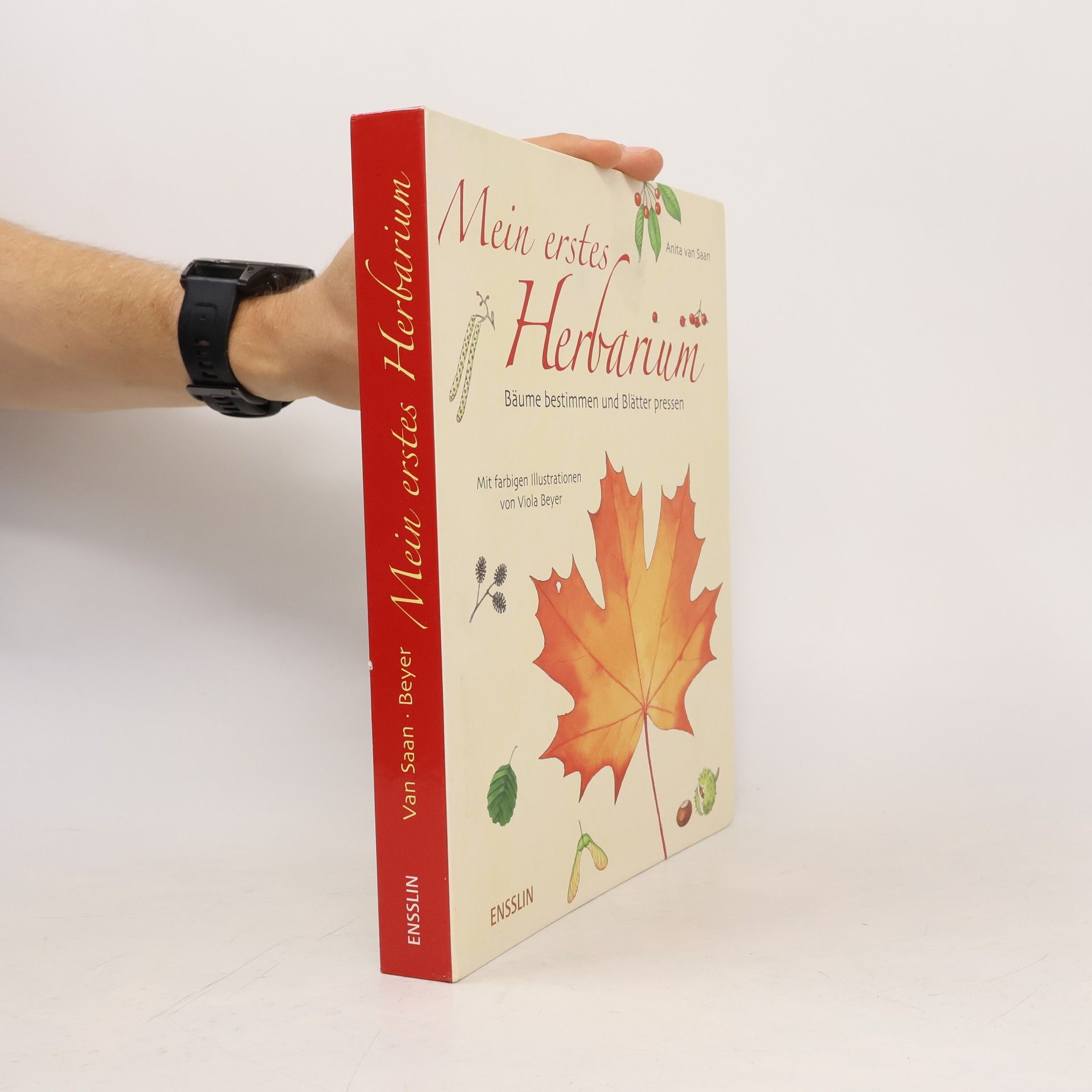 Anita van Saan Mein erstes Herbarium