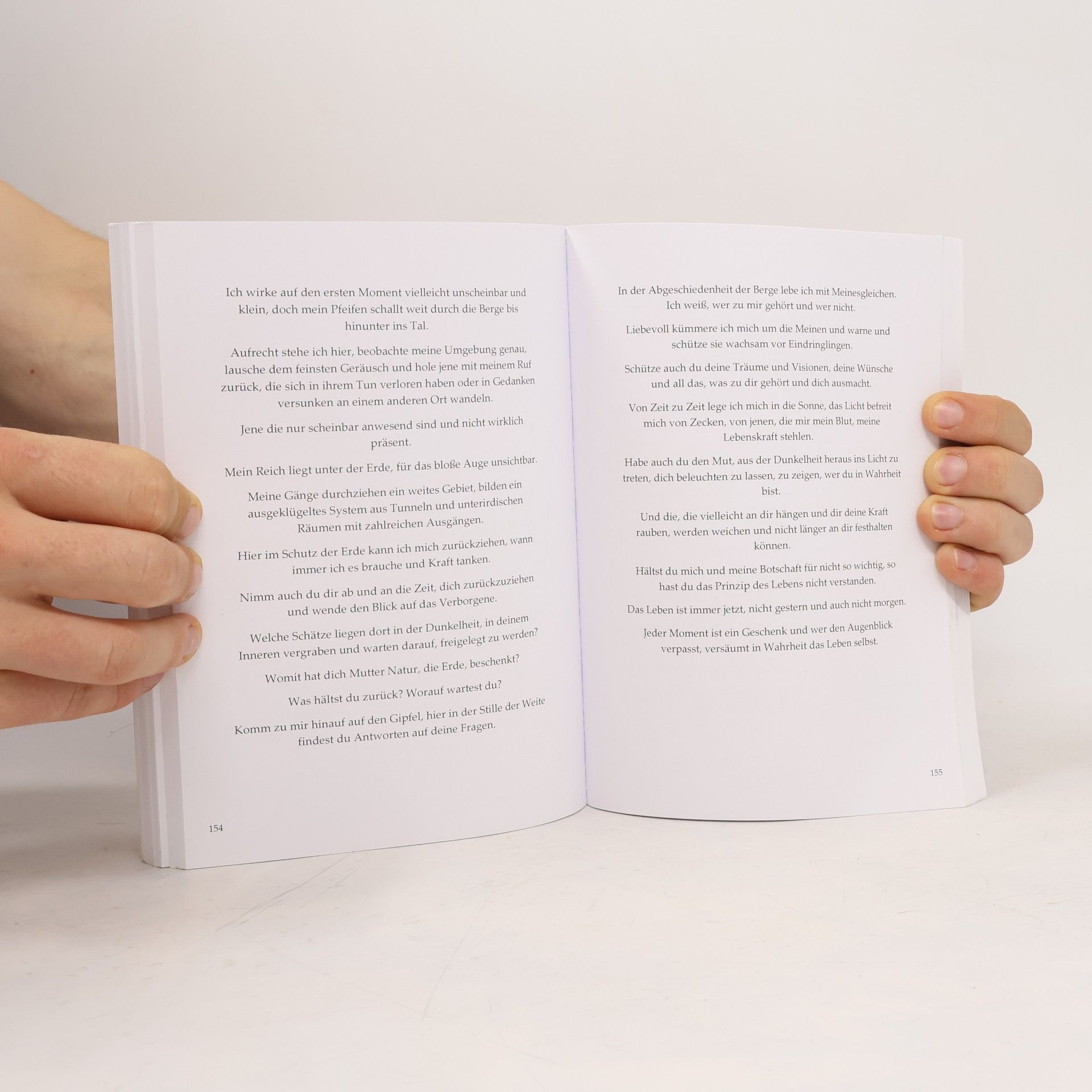 Selina Ritter Das Buch der Krafttiere ­ Botschaften für die Seele. Mit 50 energetischen Krafttierbildern zum Ausmalen