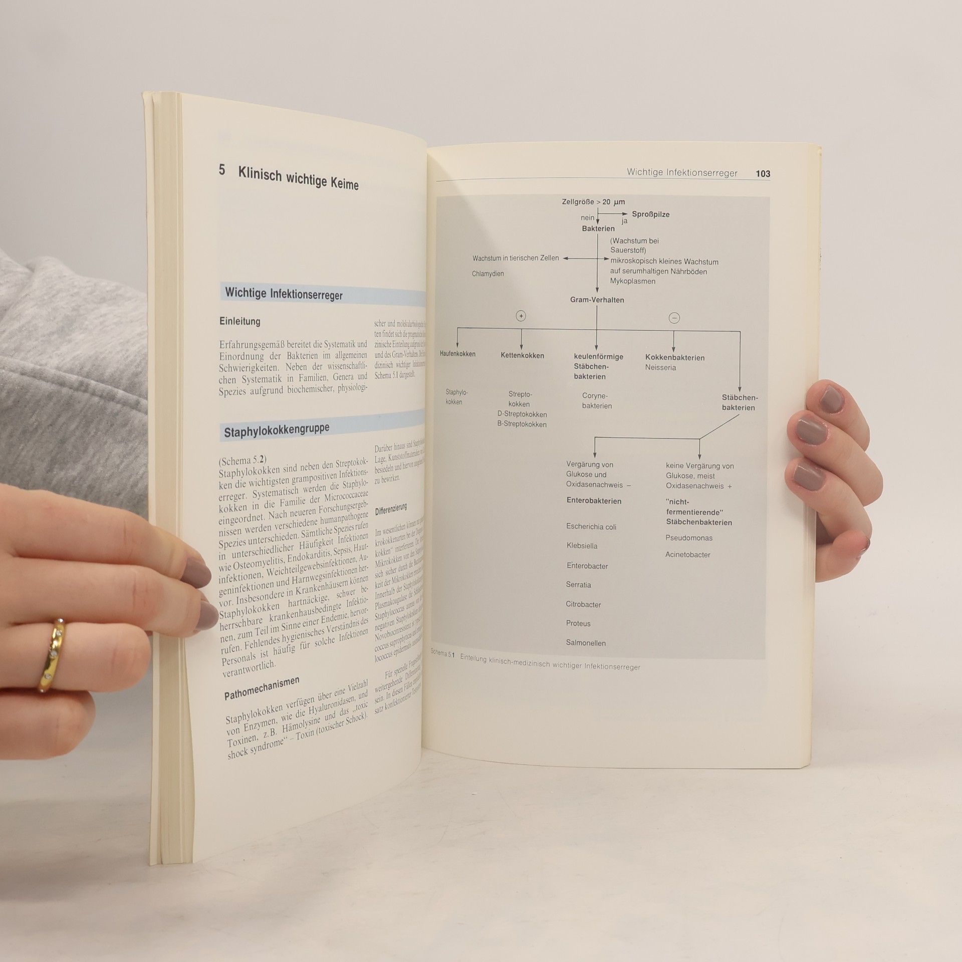 Roland Werk Bakteriologie der Urogenitalinfektionen
