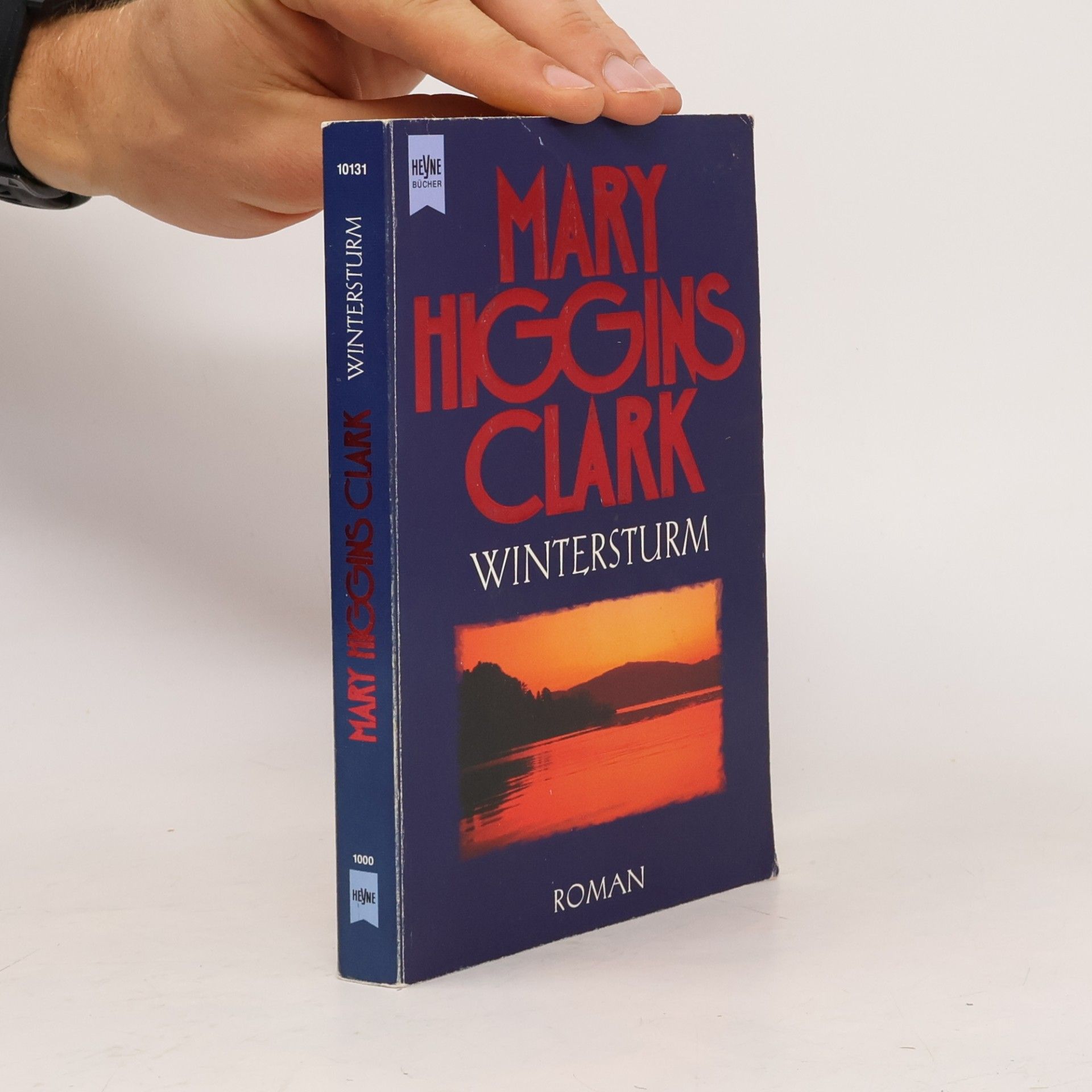 Mary Higgins Clark Wintersturm