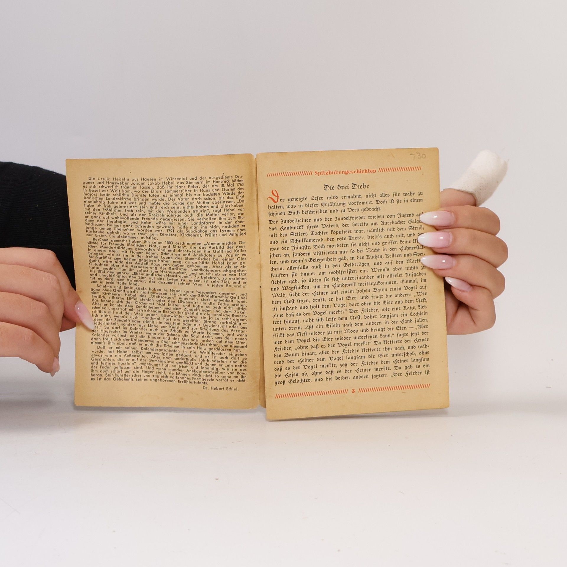 Johann Peter Hebel Spitzbubengeschichten