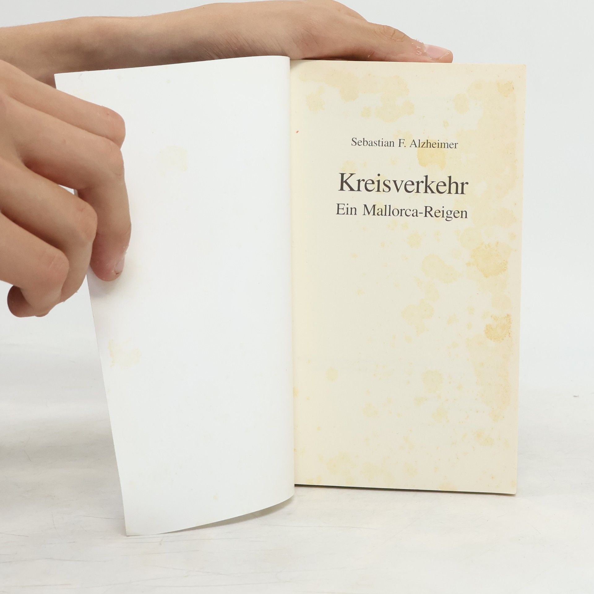 Sebastian F. Alzheimer Kreisverkehr