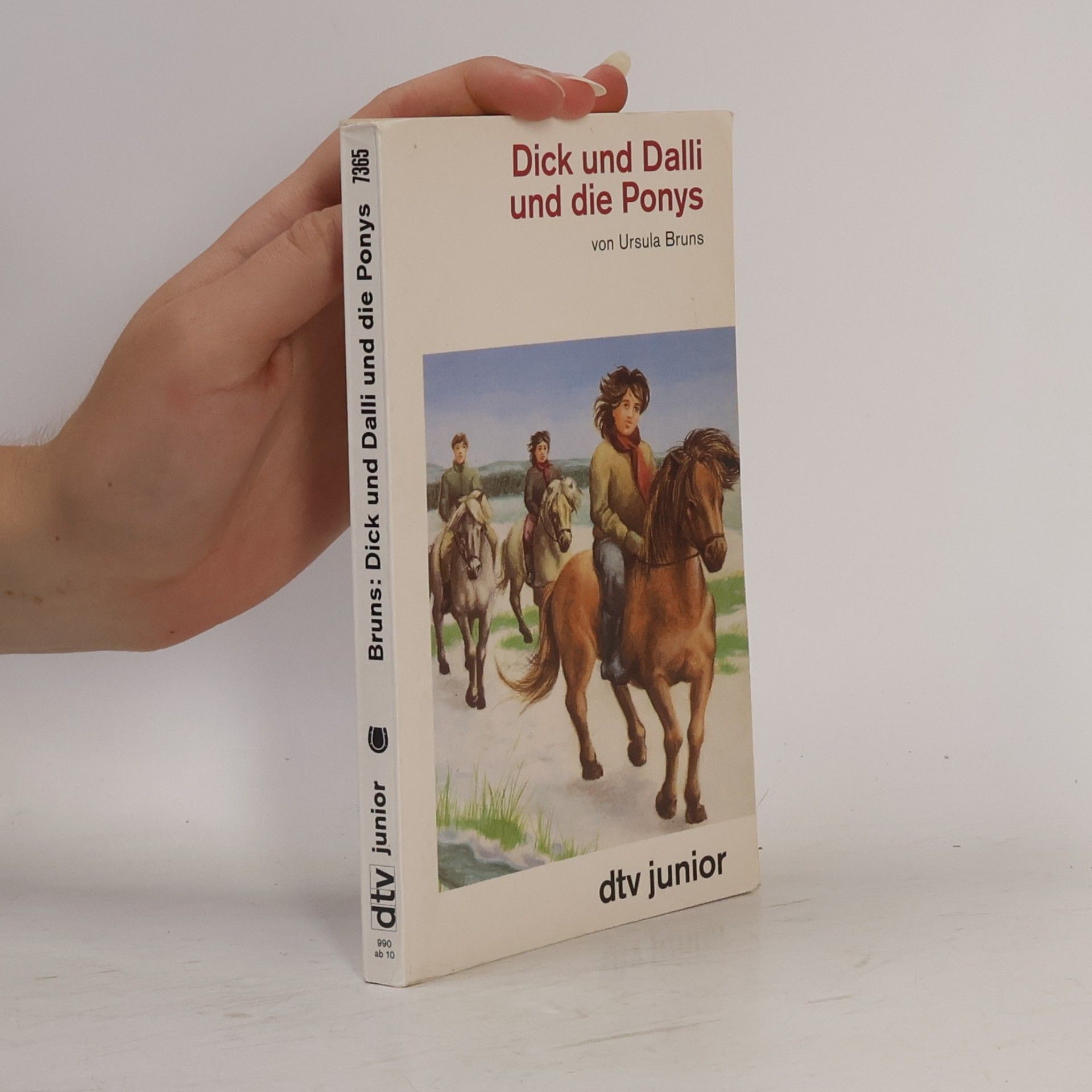 Ursula Bruns Dick und Dalli und die Ponys