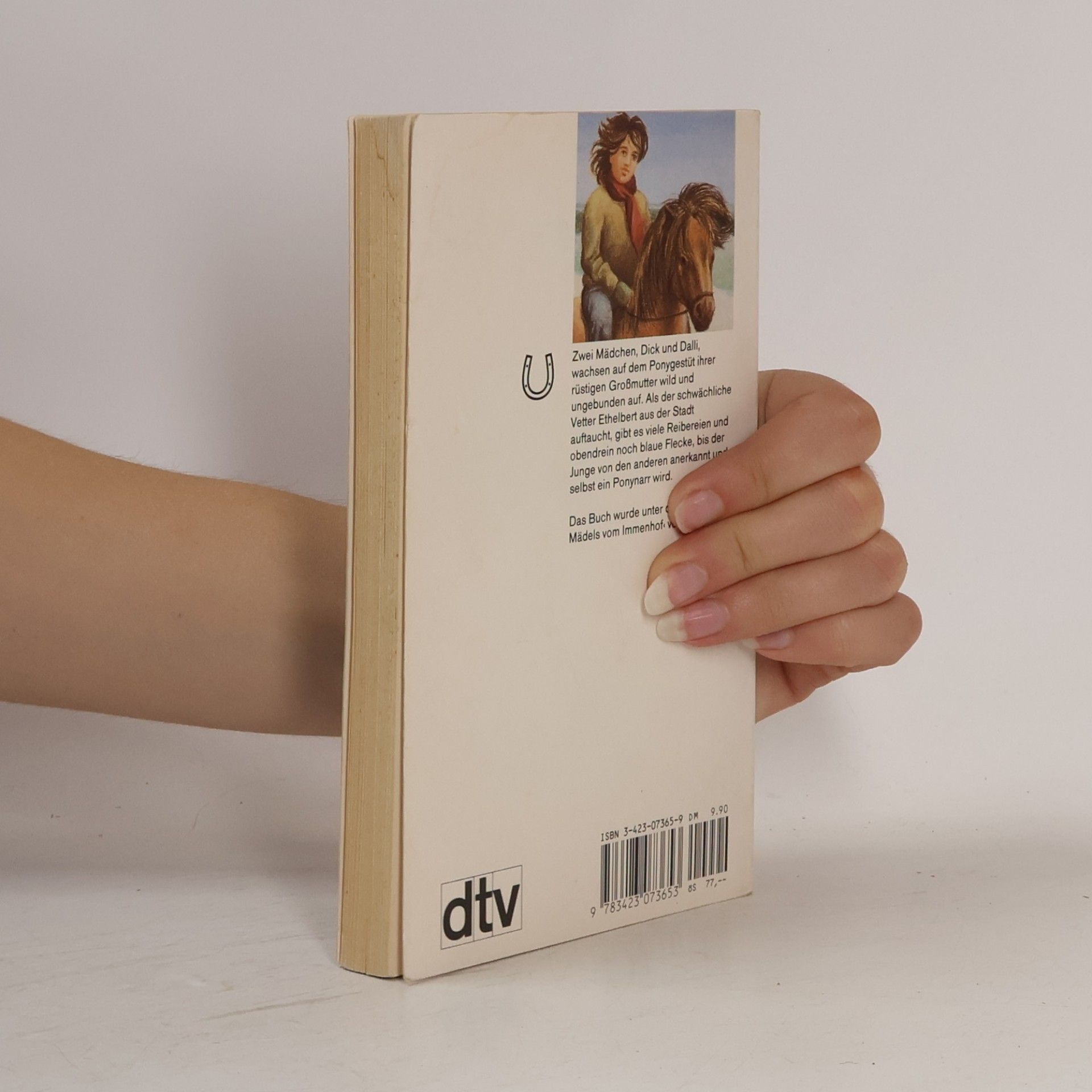 Ursula Bruns Dick und Dalli und die Ponys