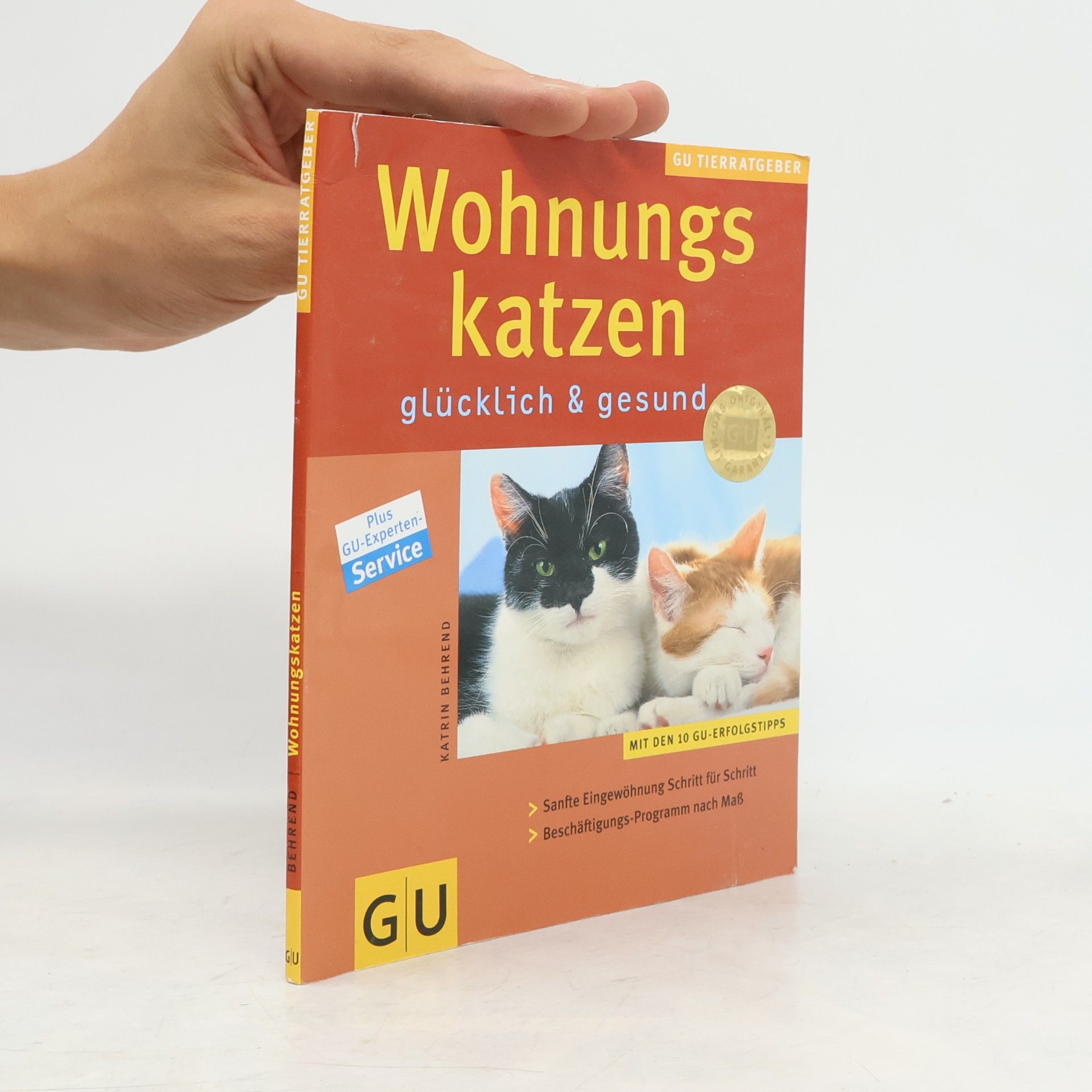 Katrin Behrend Wohnungskatzen