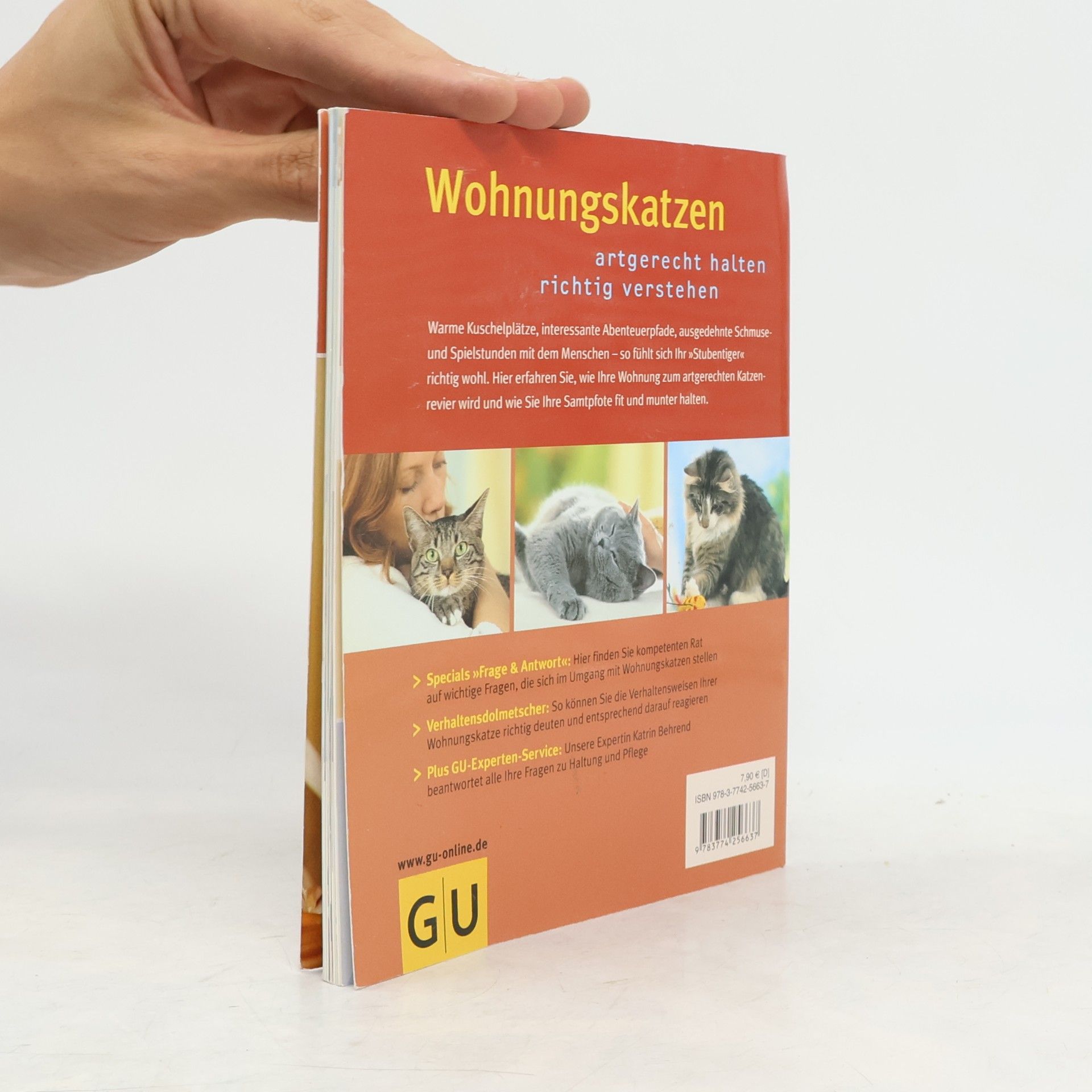 Katrin Behrend Wohnungskatzen