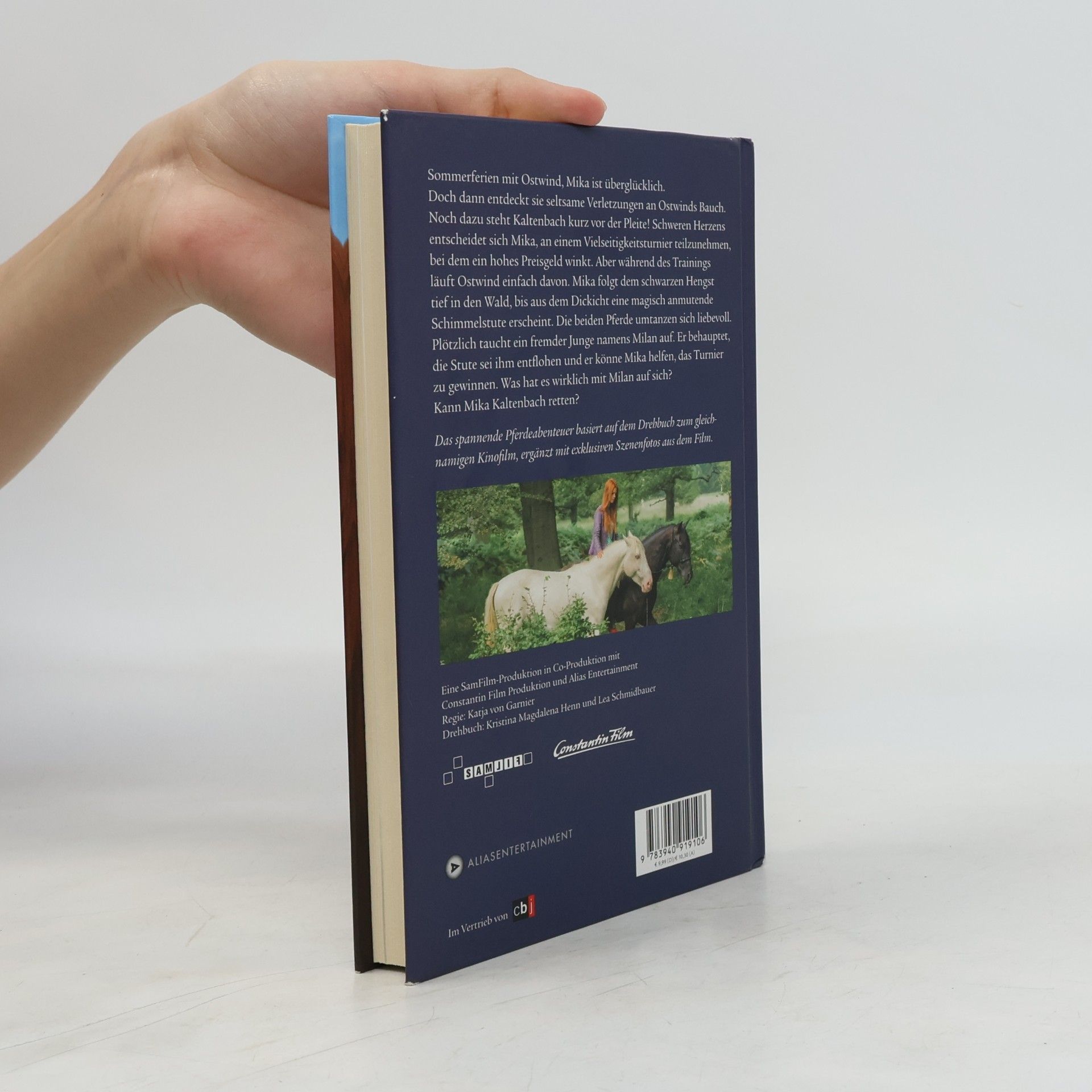 Kristina Magdalena Henn Ostwind 2 - Das Buch zum Film