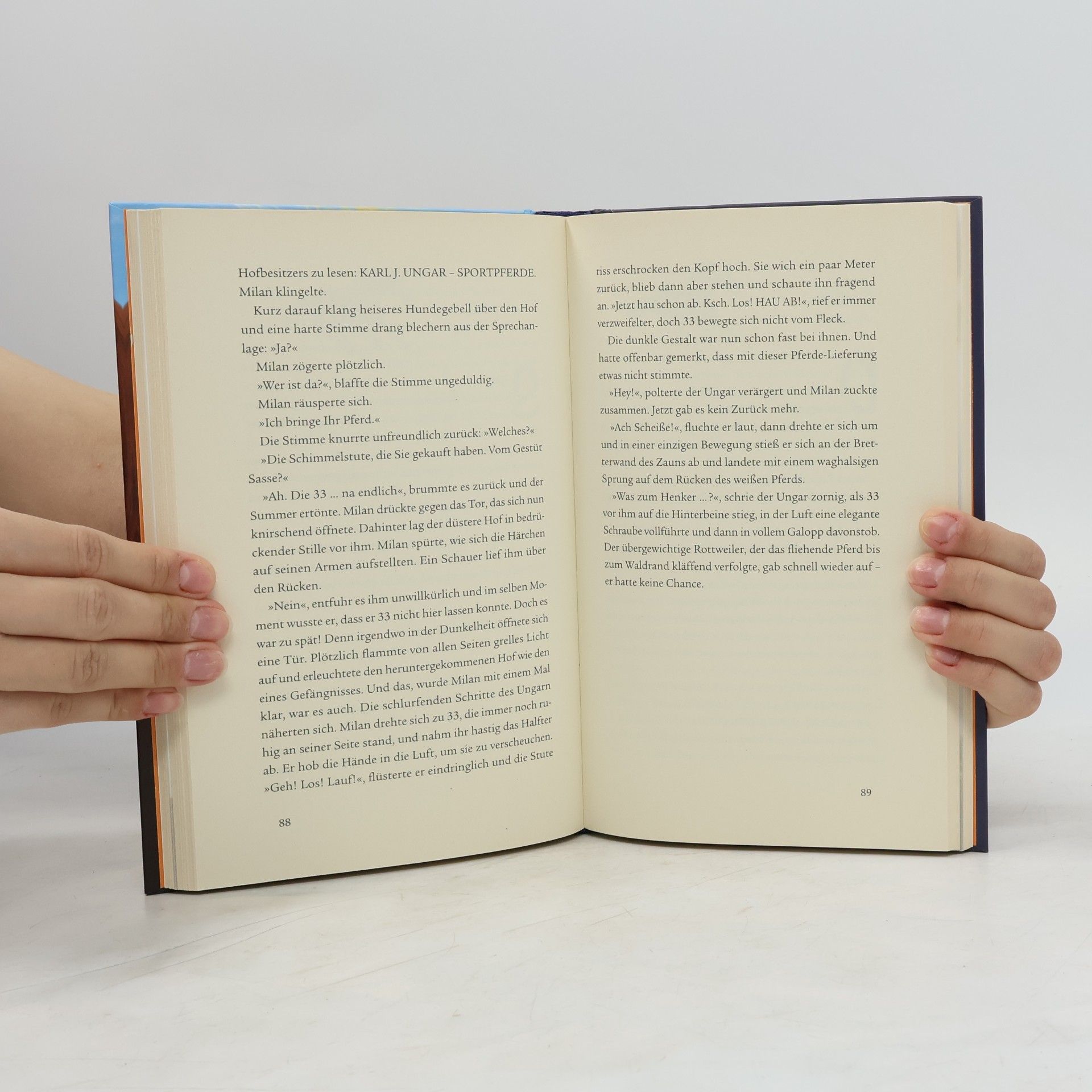 Kristina Magdalena Henn Ostwind 2 - Das Buch zum Film