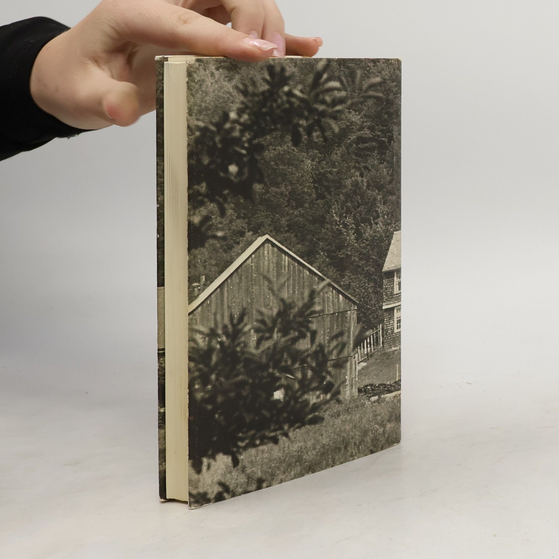 Alice Herdan-Zuckmayer Die Farm in den grünen Bergen