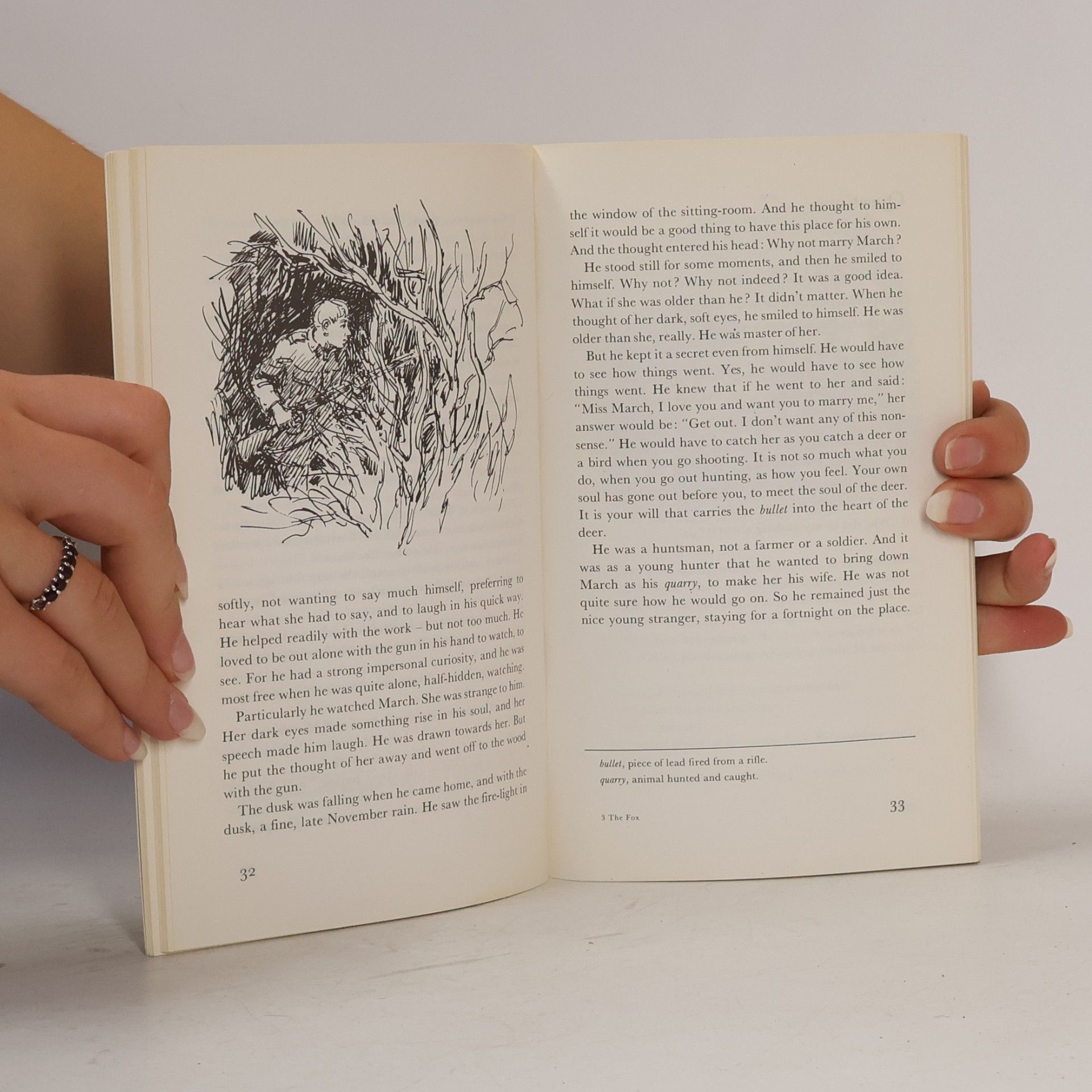 D. H. Lawrence The Fox