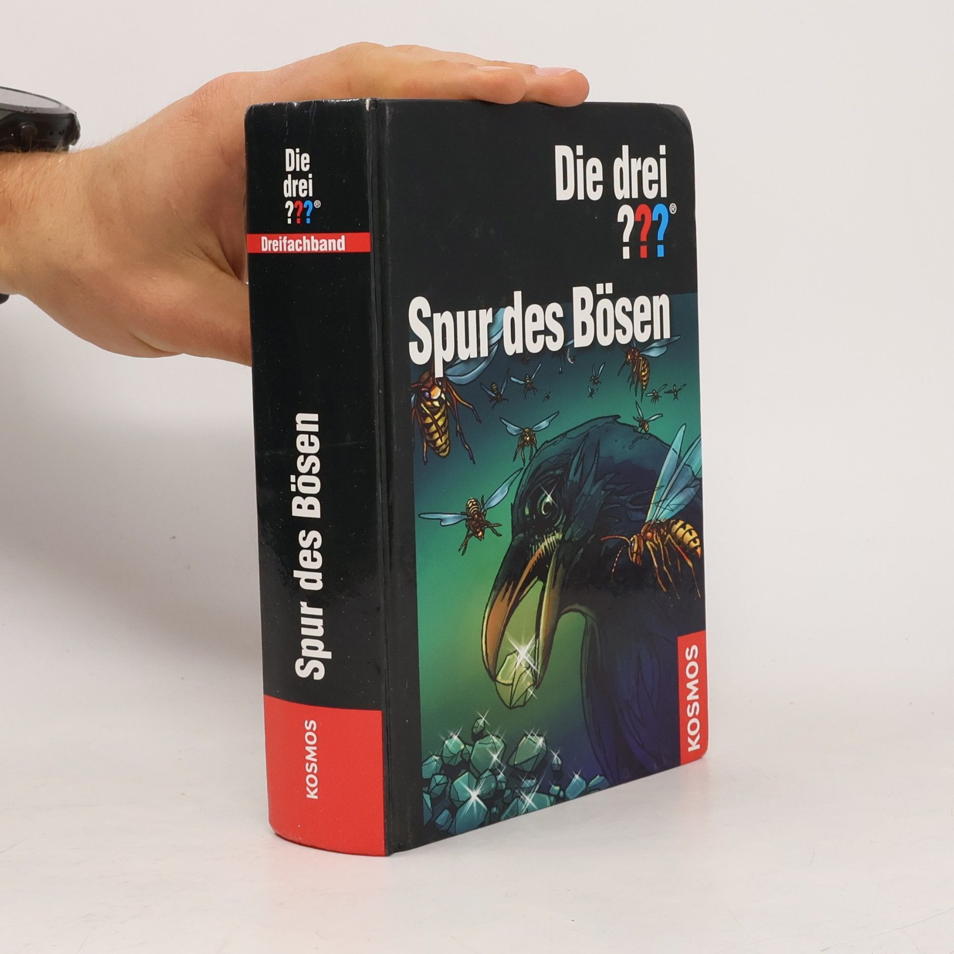 Die drei ??? - Spur des Bösen