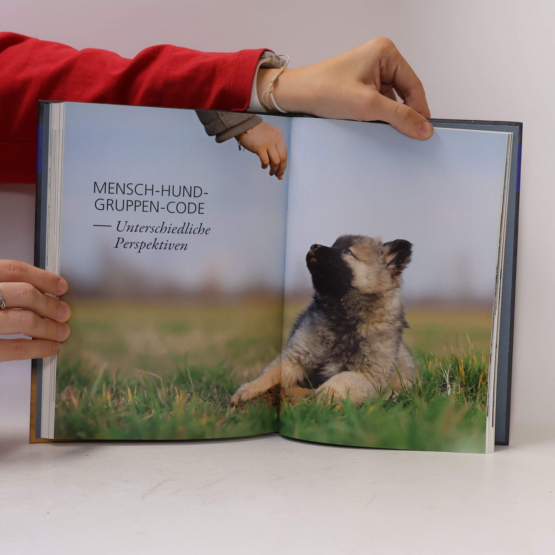 Günther Bloch Der Mensch-Hund-Code