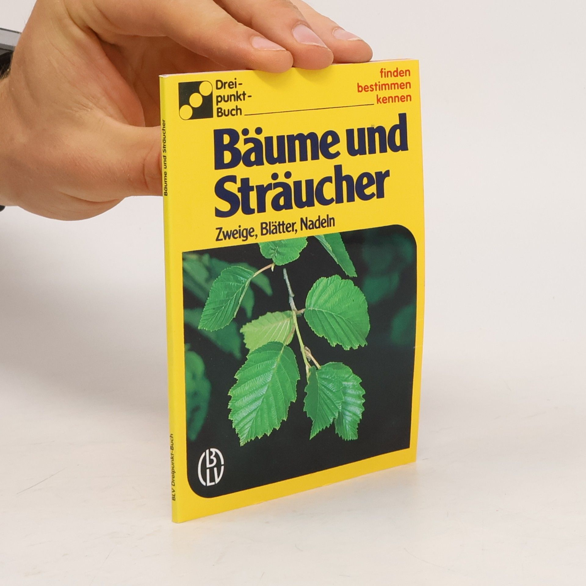 Autorenkollektiv Bäume und Sträucher