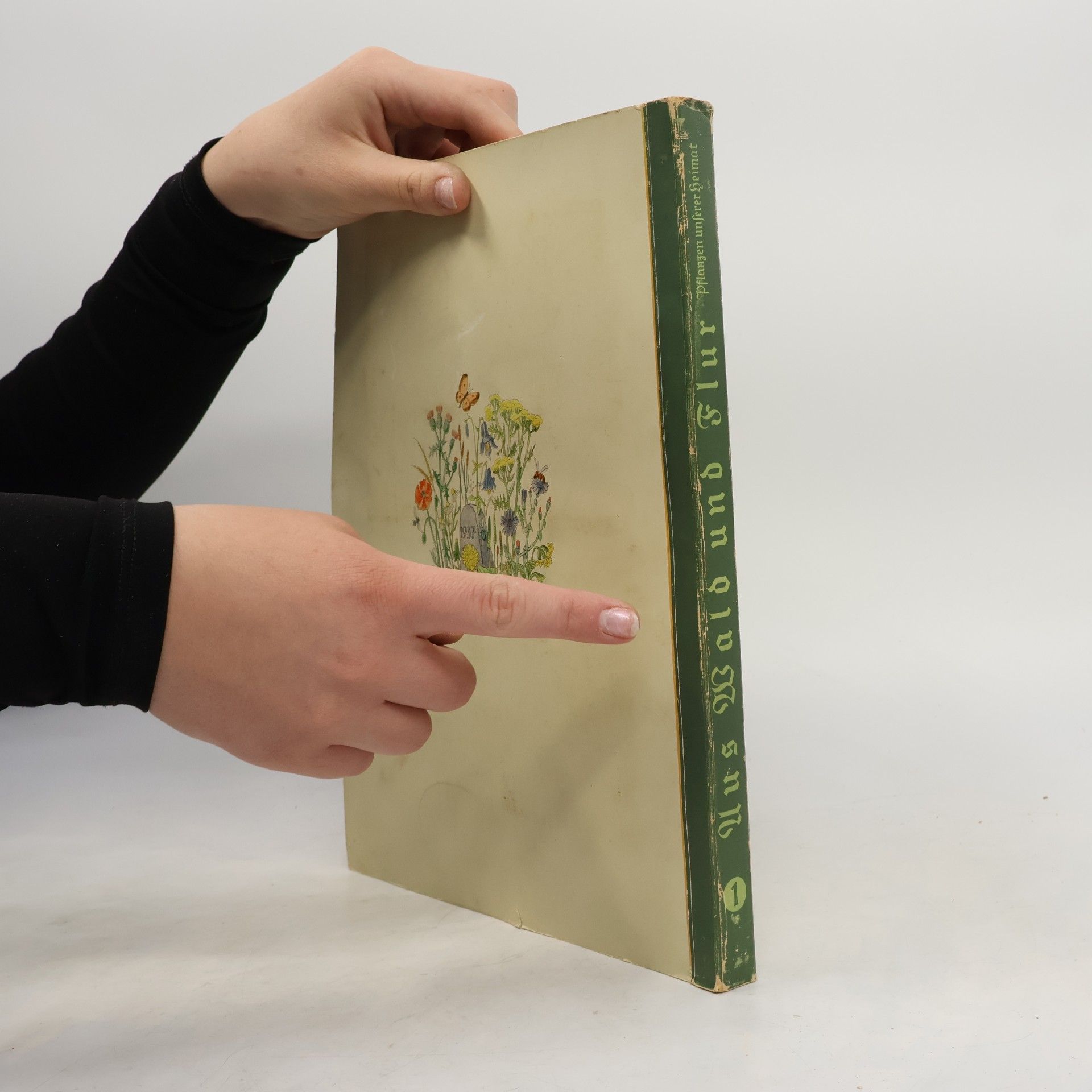 Autorenkollektiv Aus Wald und Flur 1