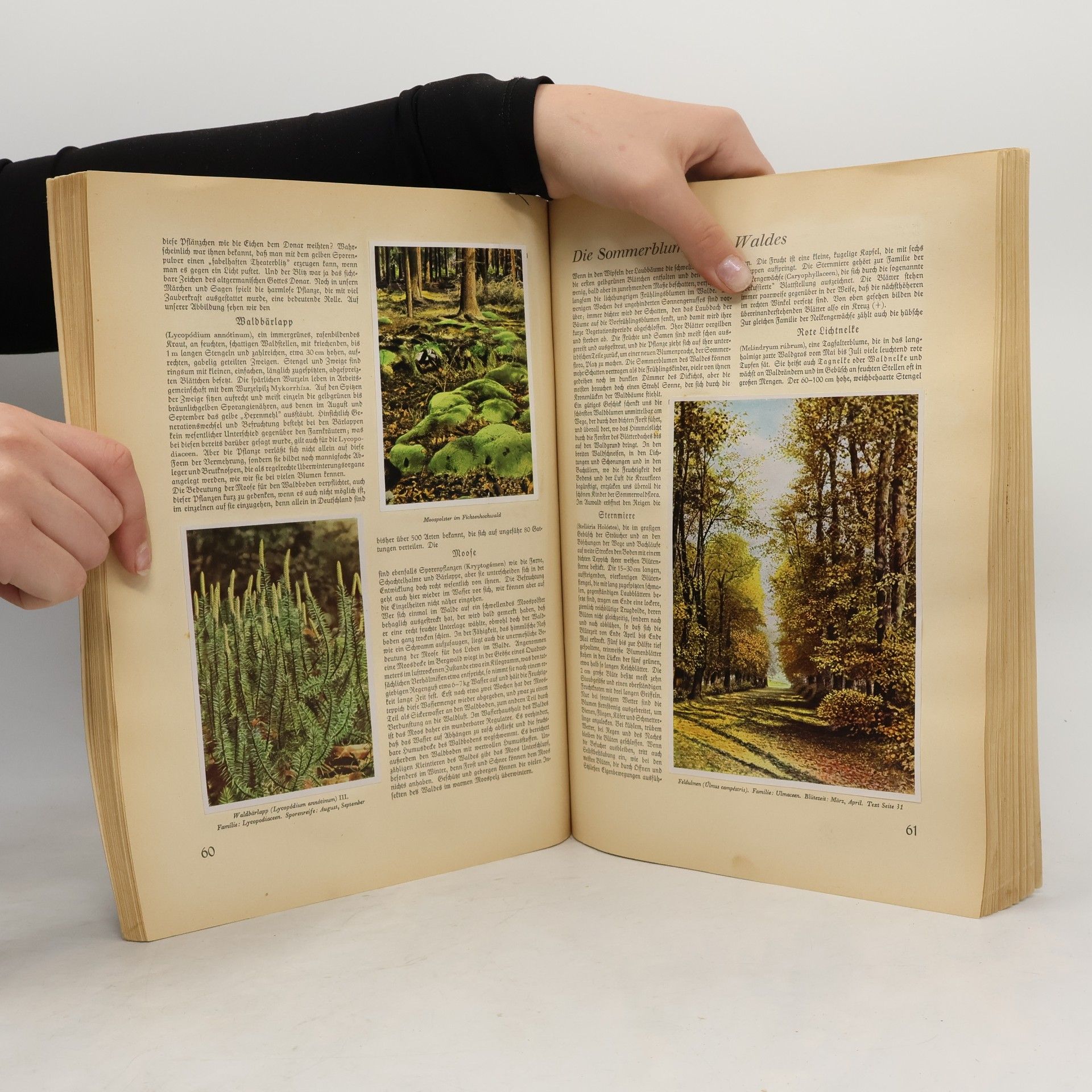 Autorenkollektiv Aus Wald und Flur 1