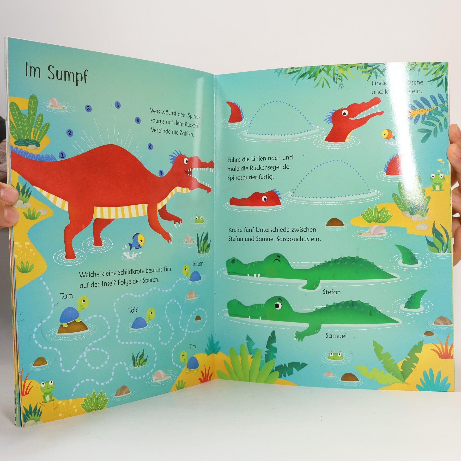 Kirsteen Robson Mein Wisch-und-weg-Buch. Dinosaurier