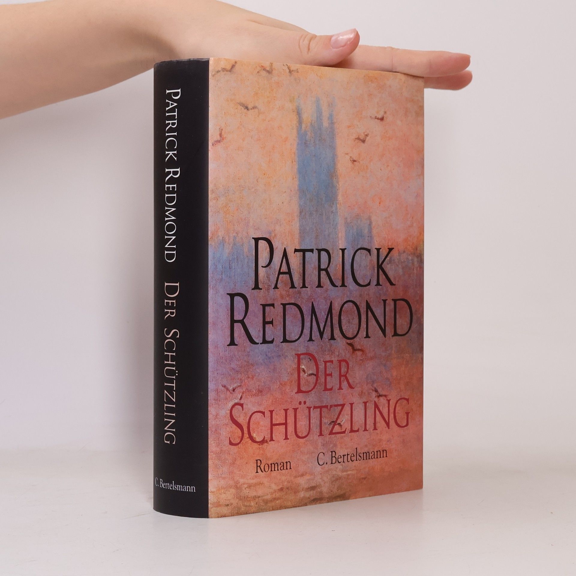 Patrick Redmond Der Schützling