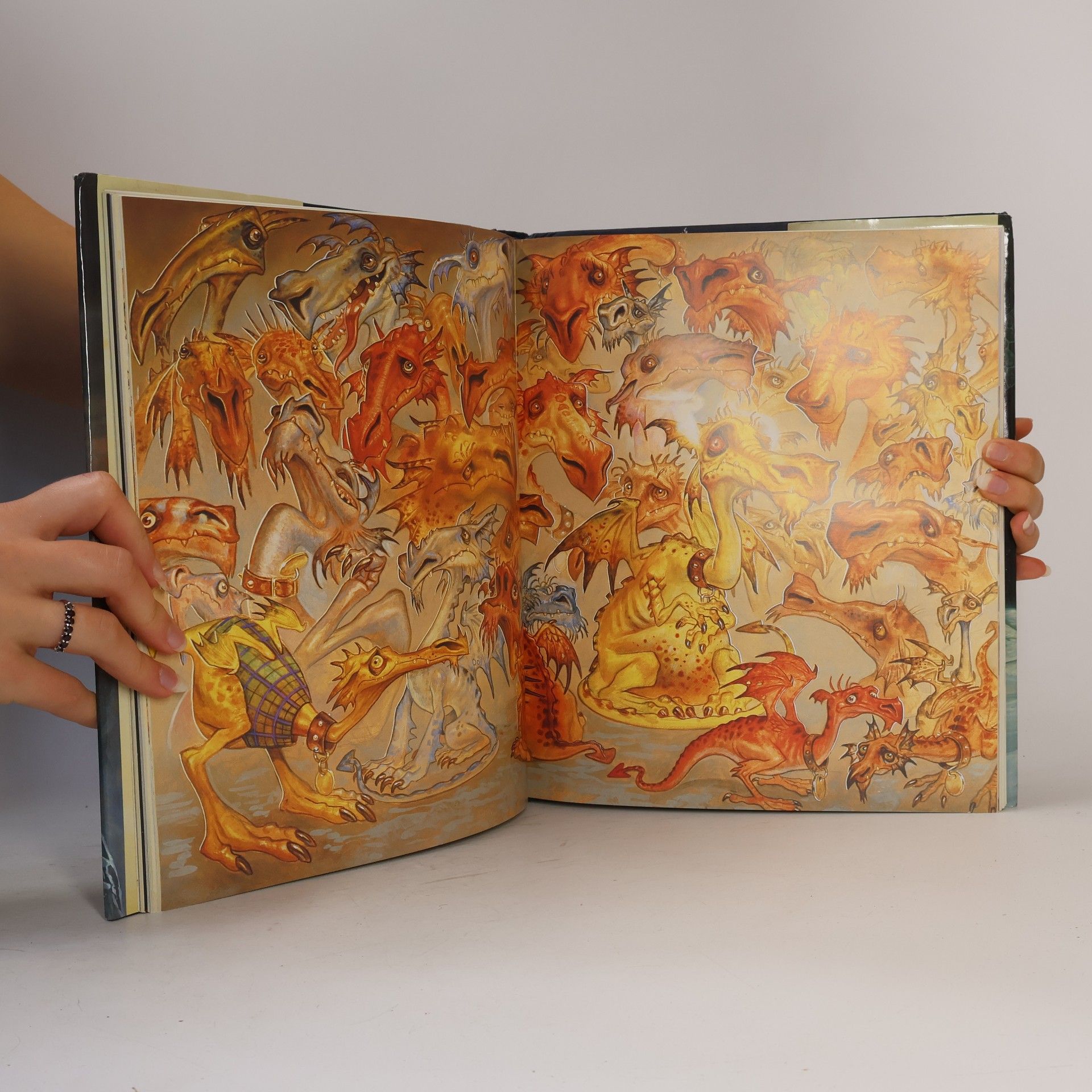 Terry Pratchett Discworld: The Last Hero
