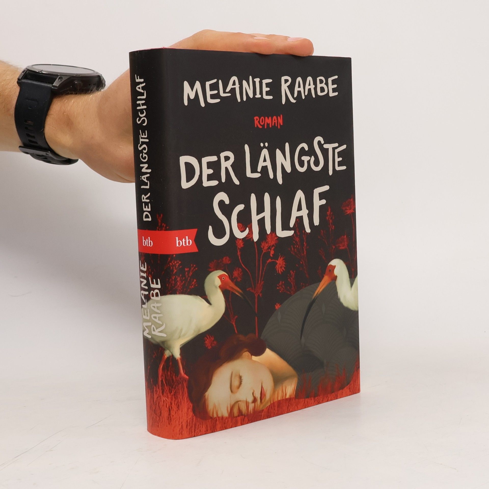 Melanie Raabe Der längste Schlaf. Roman
