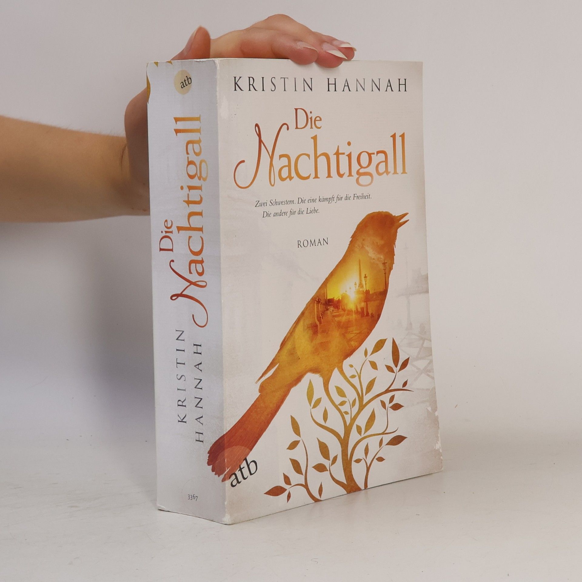 Kristin Hannah Die Nachtigall