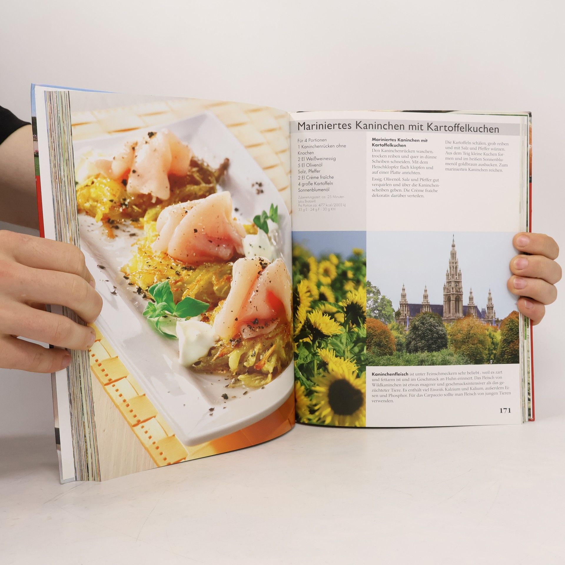 Österreich - das Kochbuch